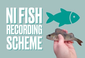 Link to Angling Records page