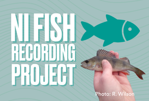 Link to Angling Records page