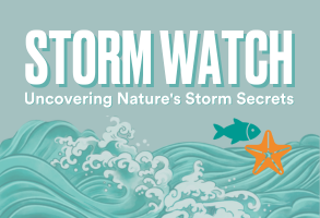 Link to Storm Watch survey