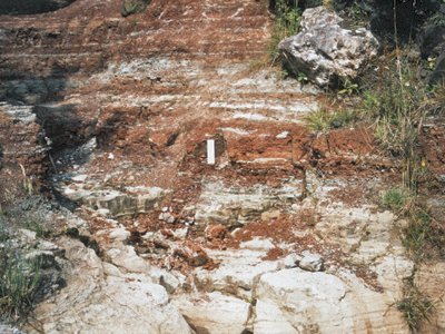 image: Stream section at Glasmullen, south-west of Waterfoot, Co.Antrim, showing contact between medium-grained sandstones (below) and laminated mudstones at the top of Unit 5 of the Red Arch Formation.