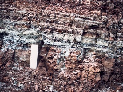 image: Detail of interbedded dark and light green and chocolate brown mudstones at the top of Unit 5 of the Red Arch Formation.