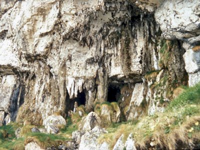 image: General view of Larrybane Stalactite Cave, Larrybane Bay, Co.Antrim, showing cave mouth, tufa columns and associated overhang in 1997.