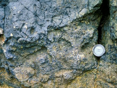 image: McIlroy’s Port to Portmuck, Islandmagee, Co.Antrim, June 1997: pegmatite veins.