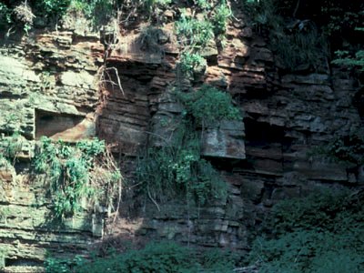 image: Ballyloughan Formation (Sherwood Sandstone Group), Drapersfield Quarry, near Cookstown, Co.Londonderry.