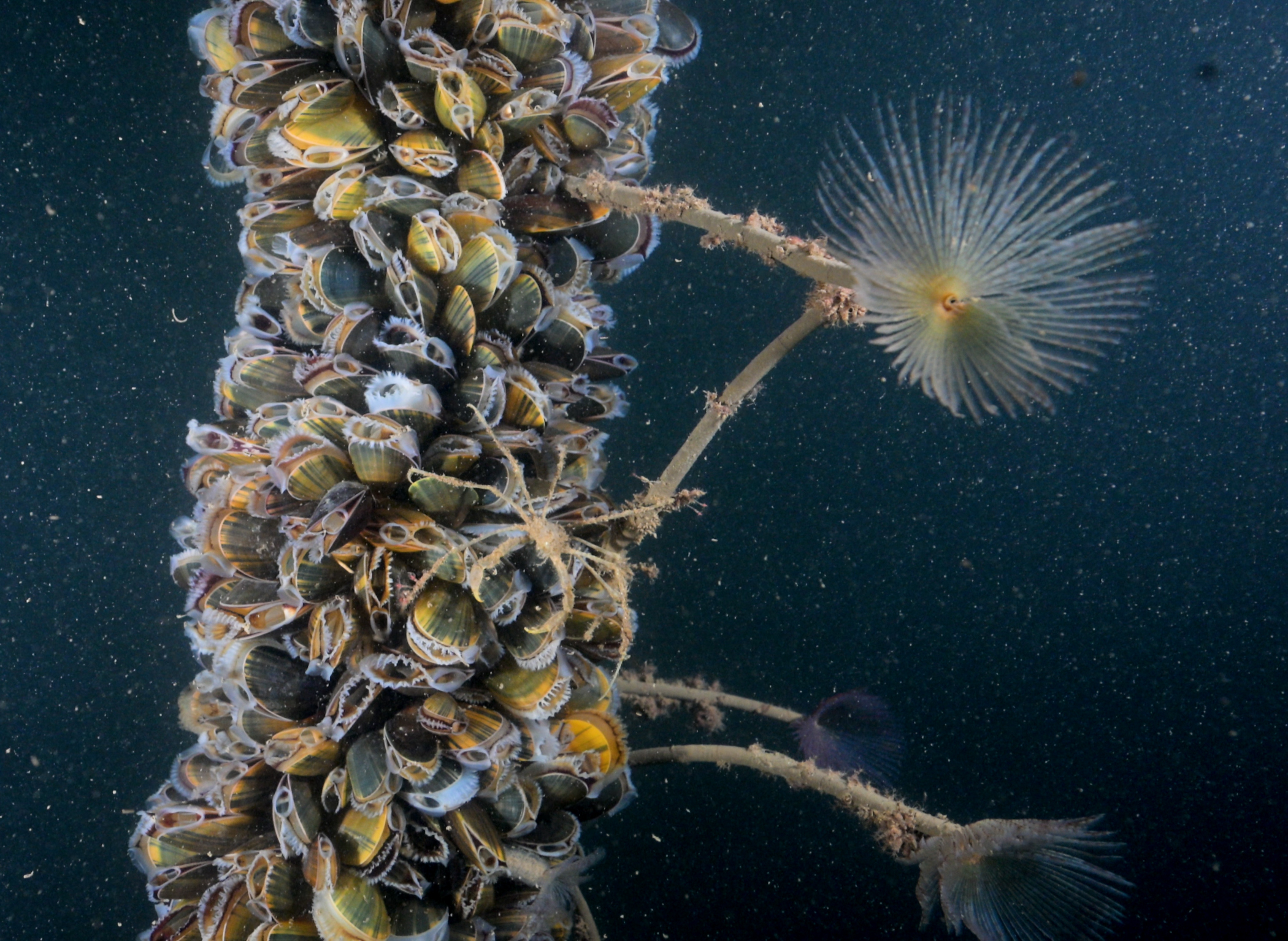 image: 20260115_01-2