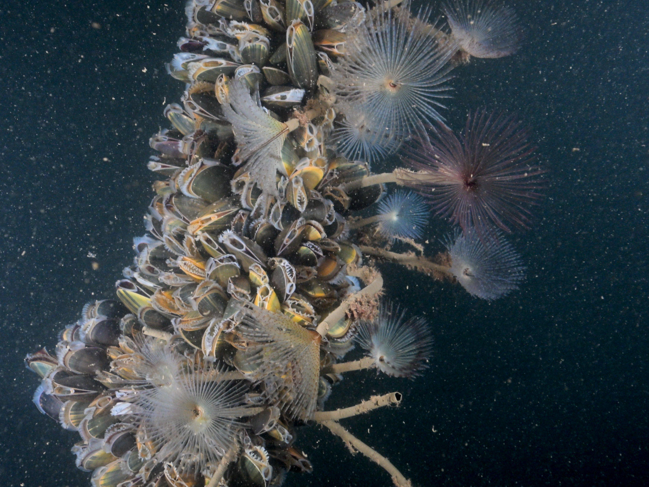 image: 20260115_01-3