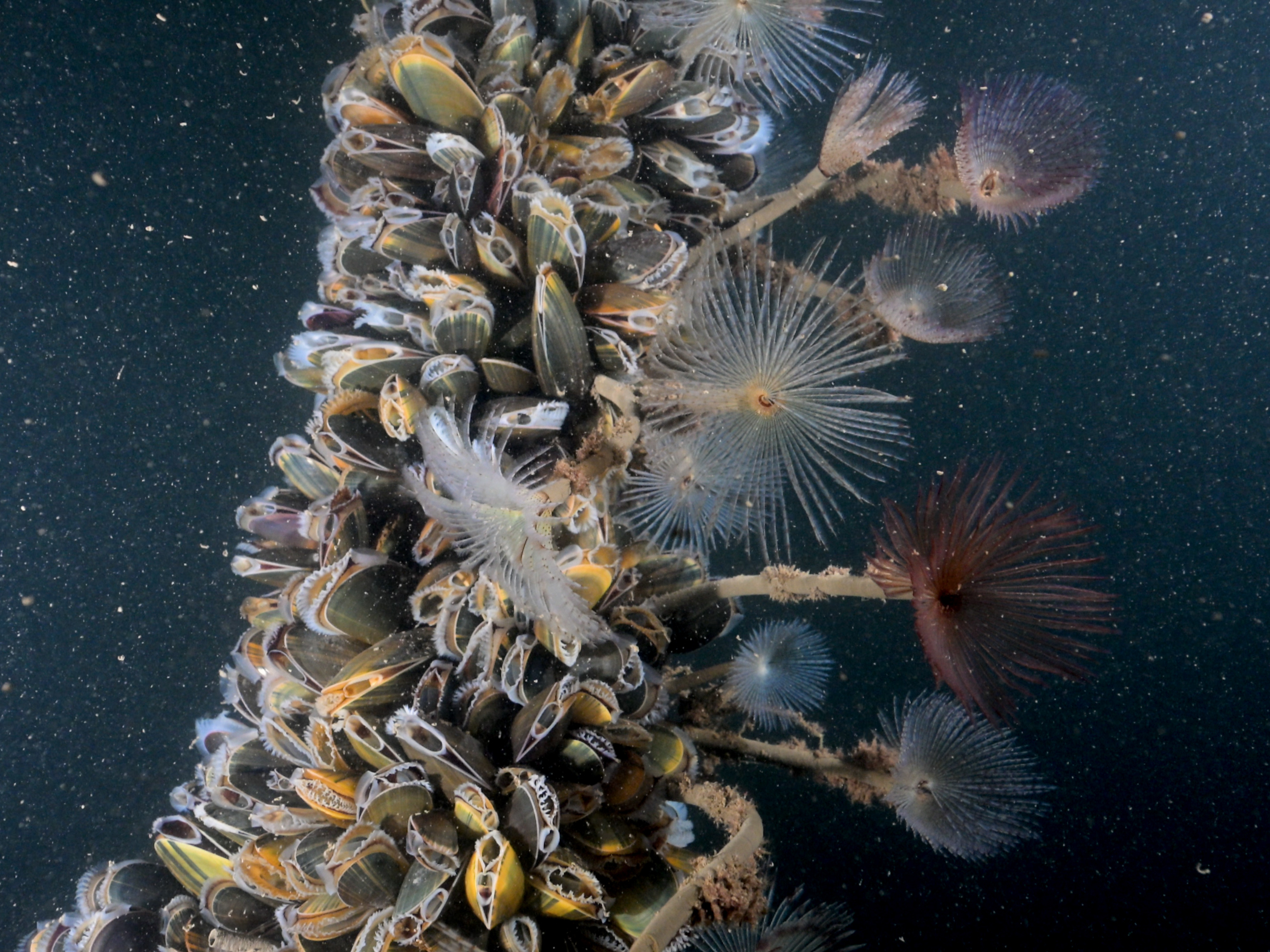 image: 20260115_01-4