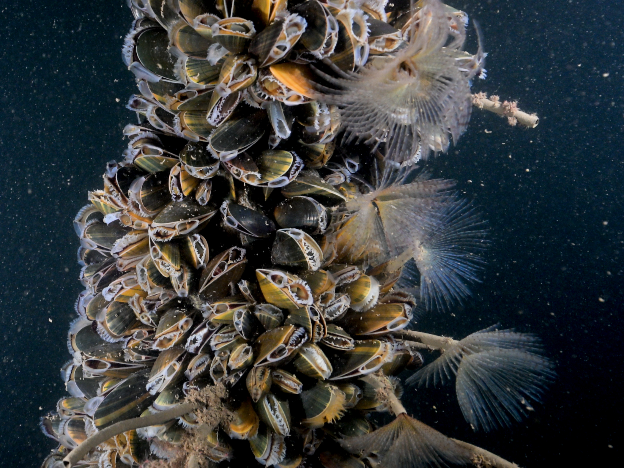 image: 20260115_01-5