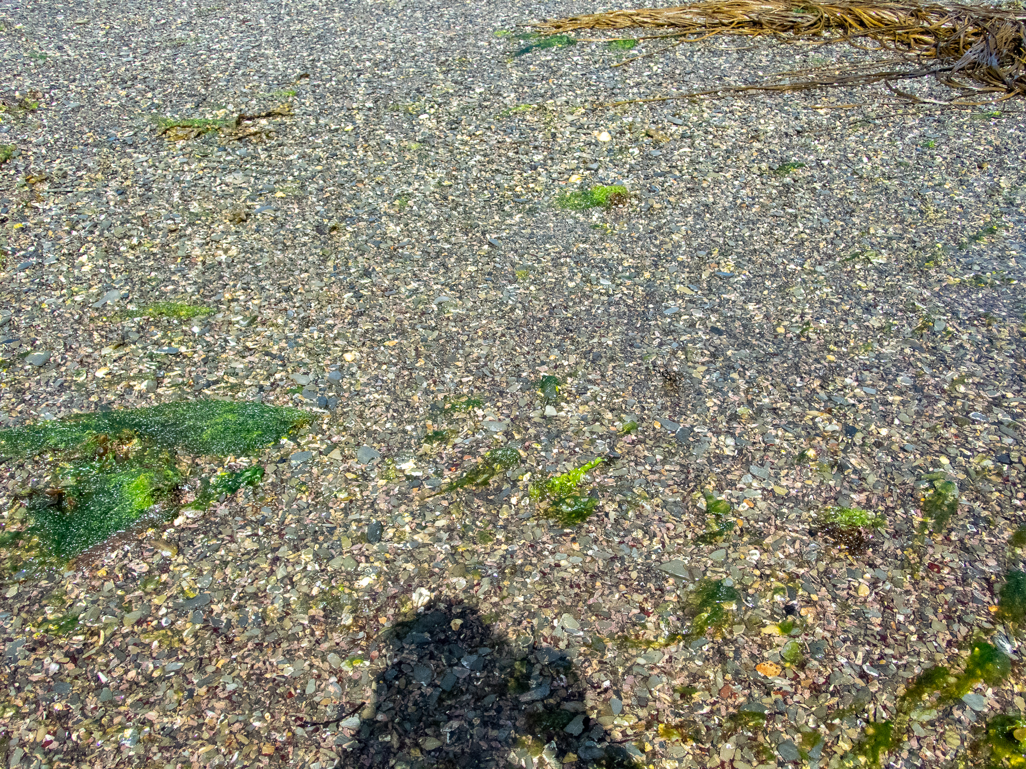  image: _7280443.jpg