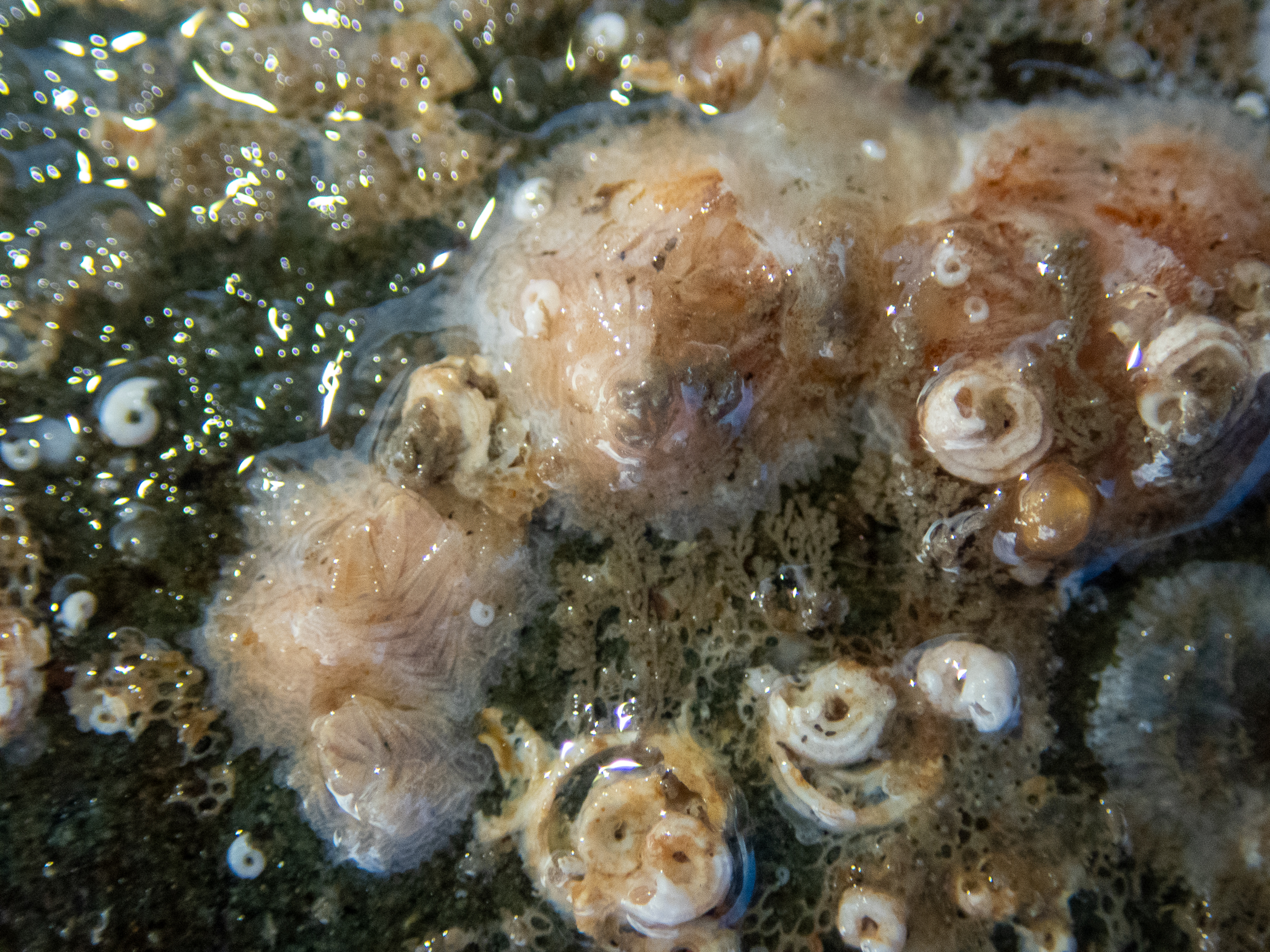_b190115.jpg