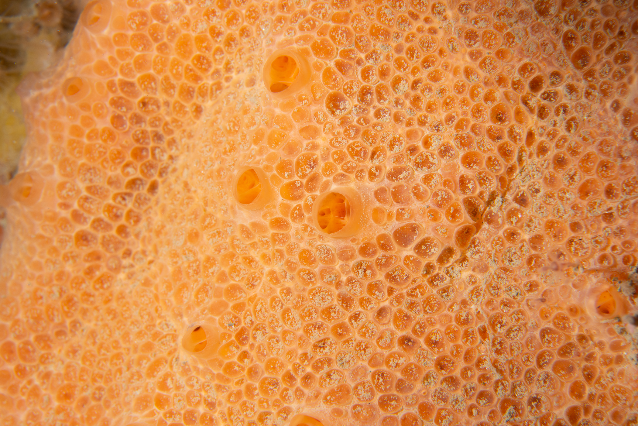 _b197367.jpg