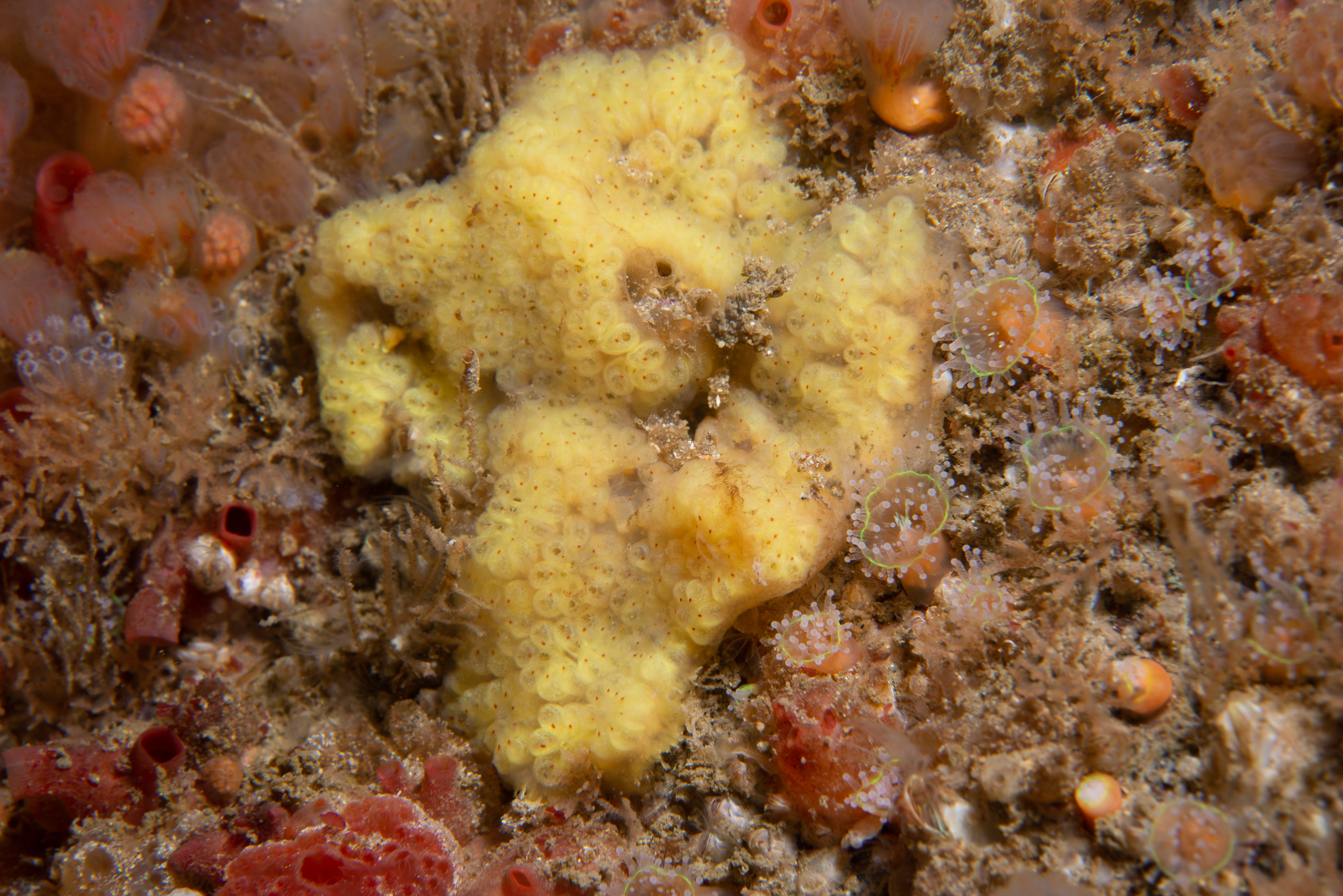 _b216628.jpg
