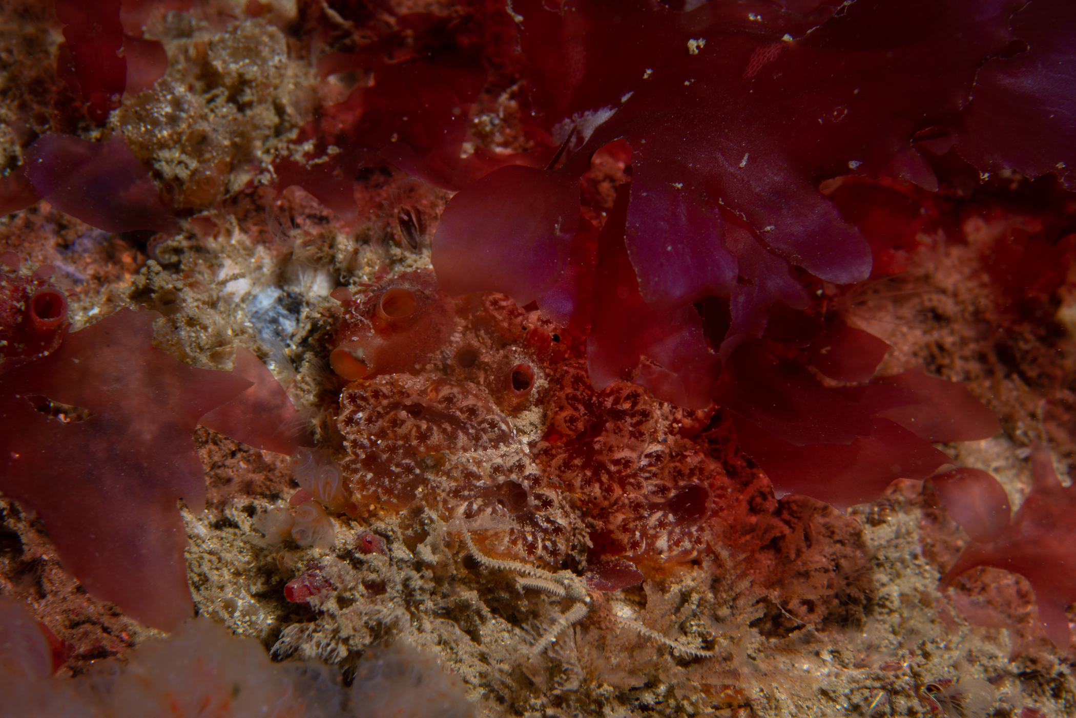 _b216674.jpg