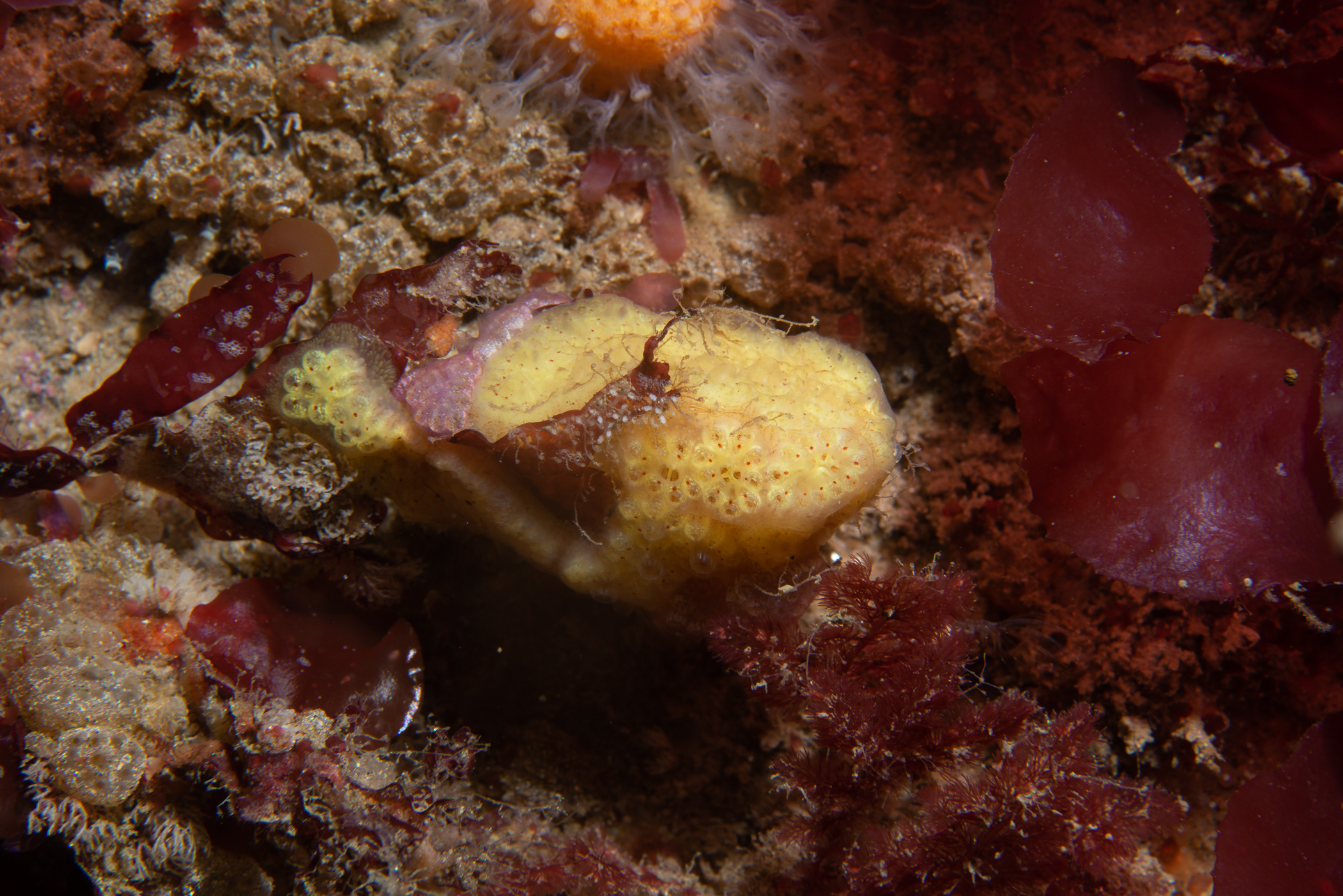 _b216766.jpg