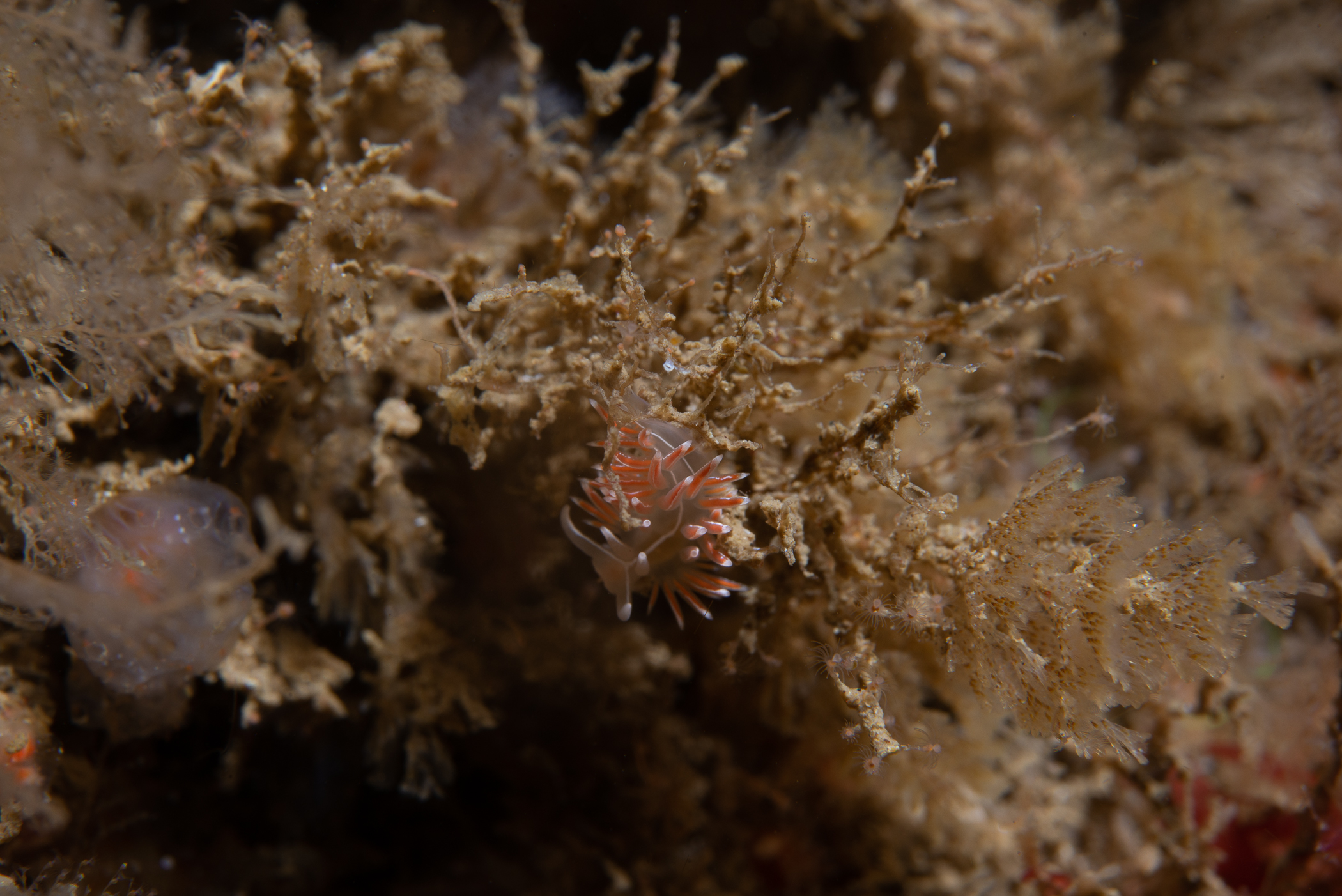 _b216779.jpg