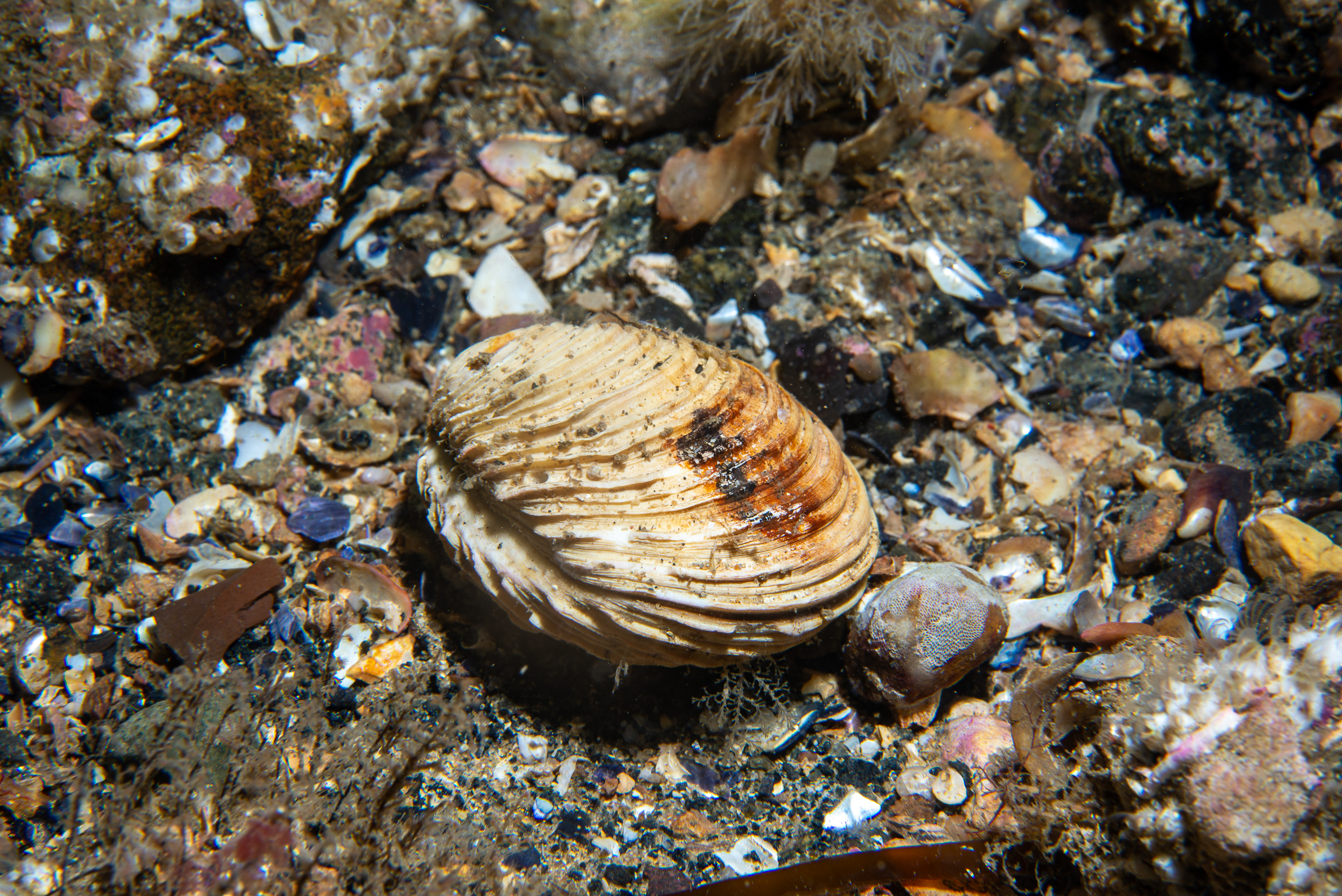 _b216820.jpg