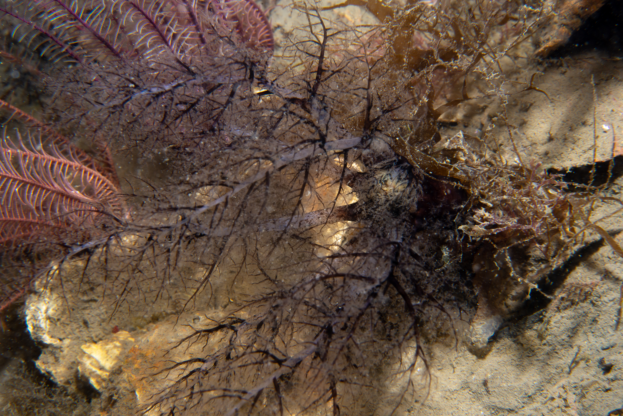 _b217116.jpg