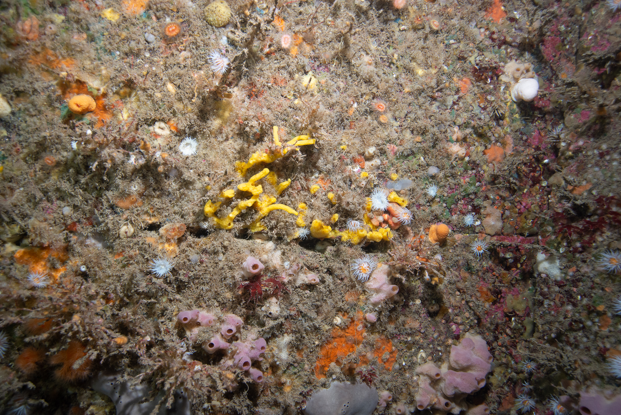 _b217173.jpg