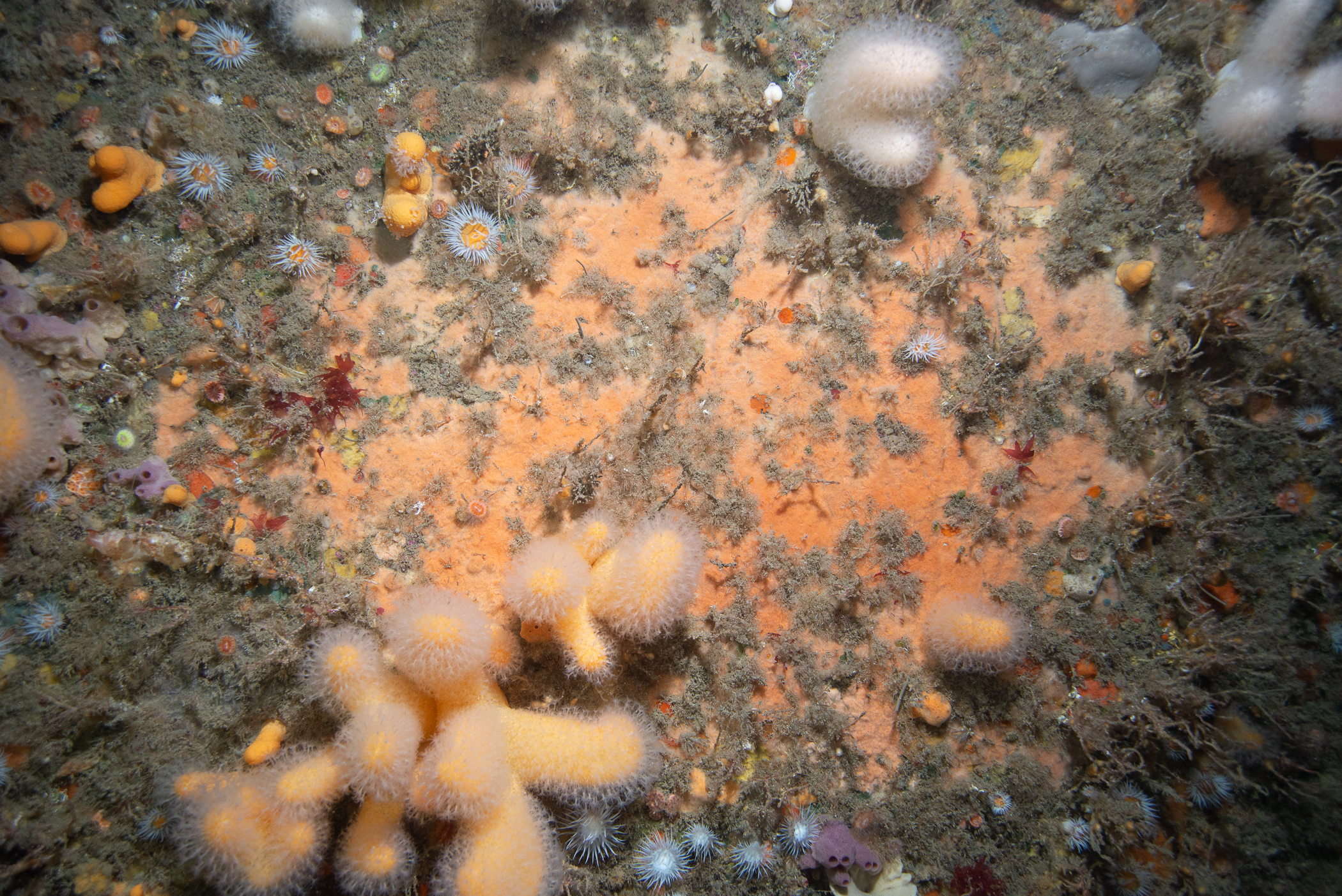 _b217183.jpg