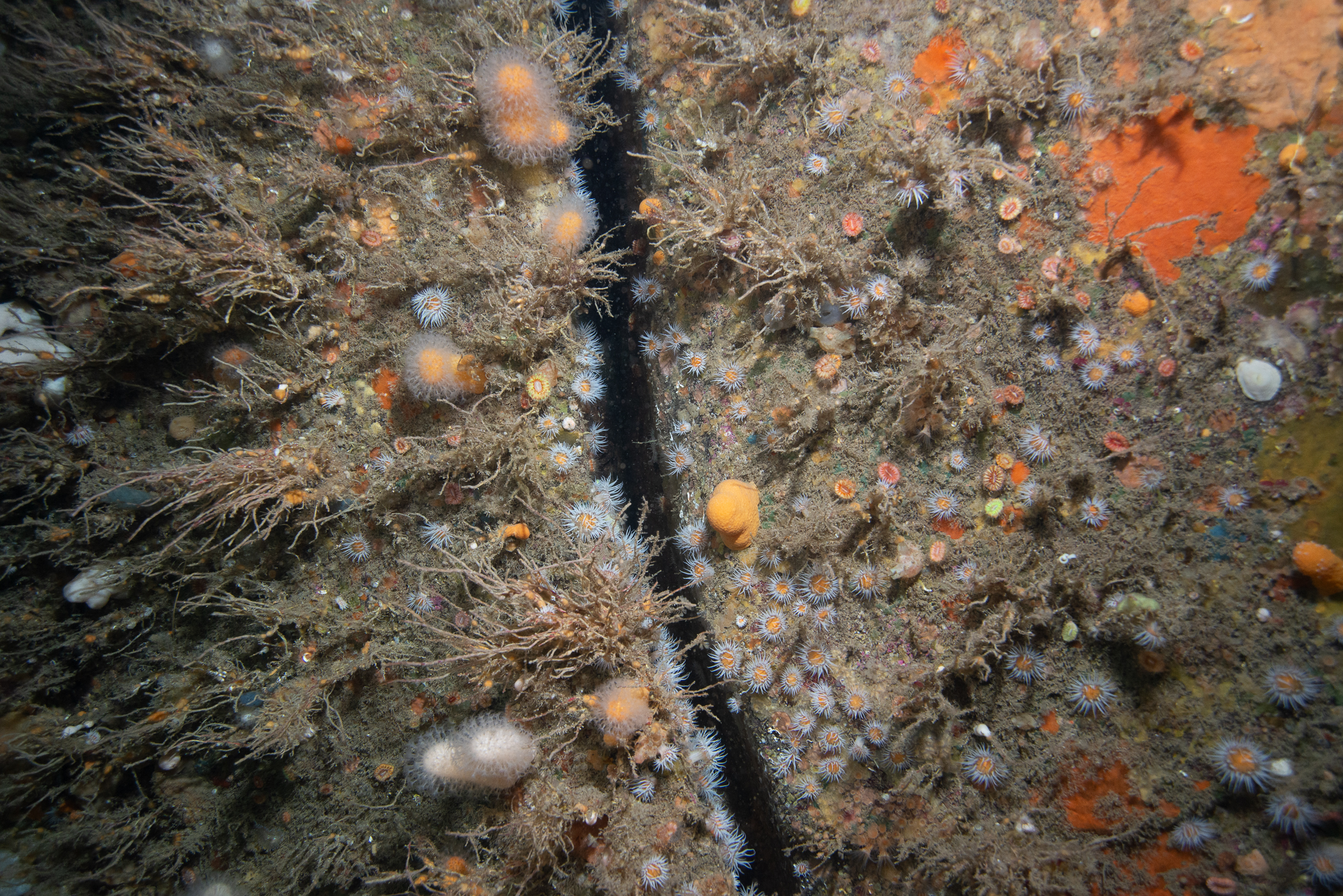 _b217185.jpg