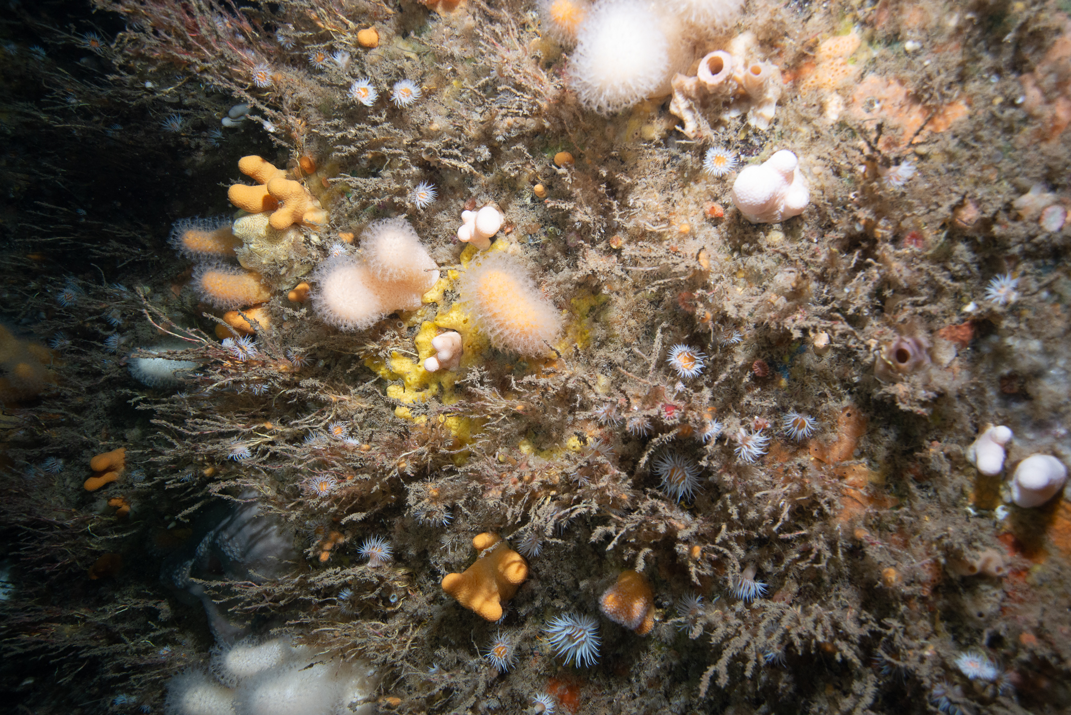 _b217187.jpg