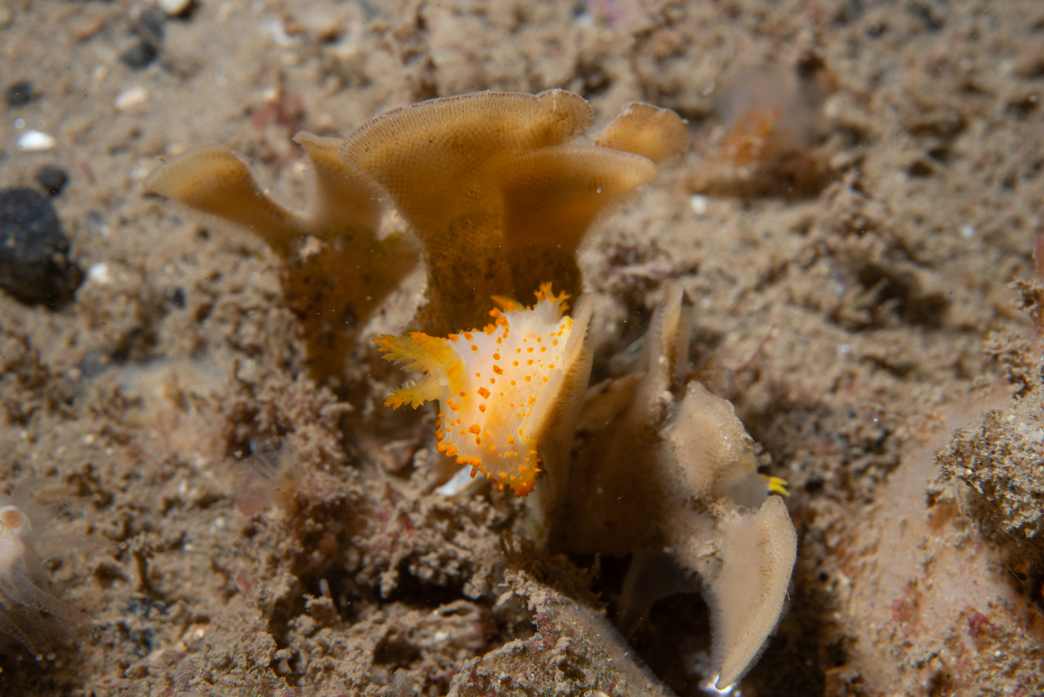 _b228184.jpg