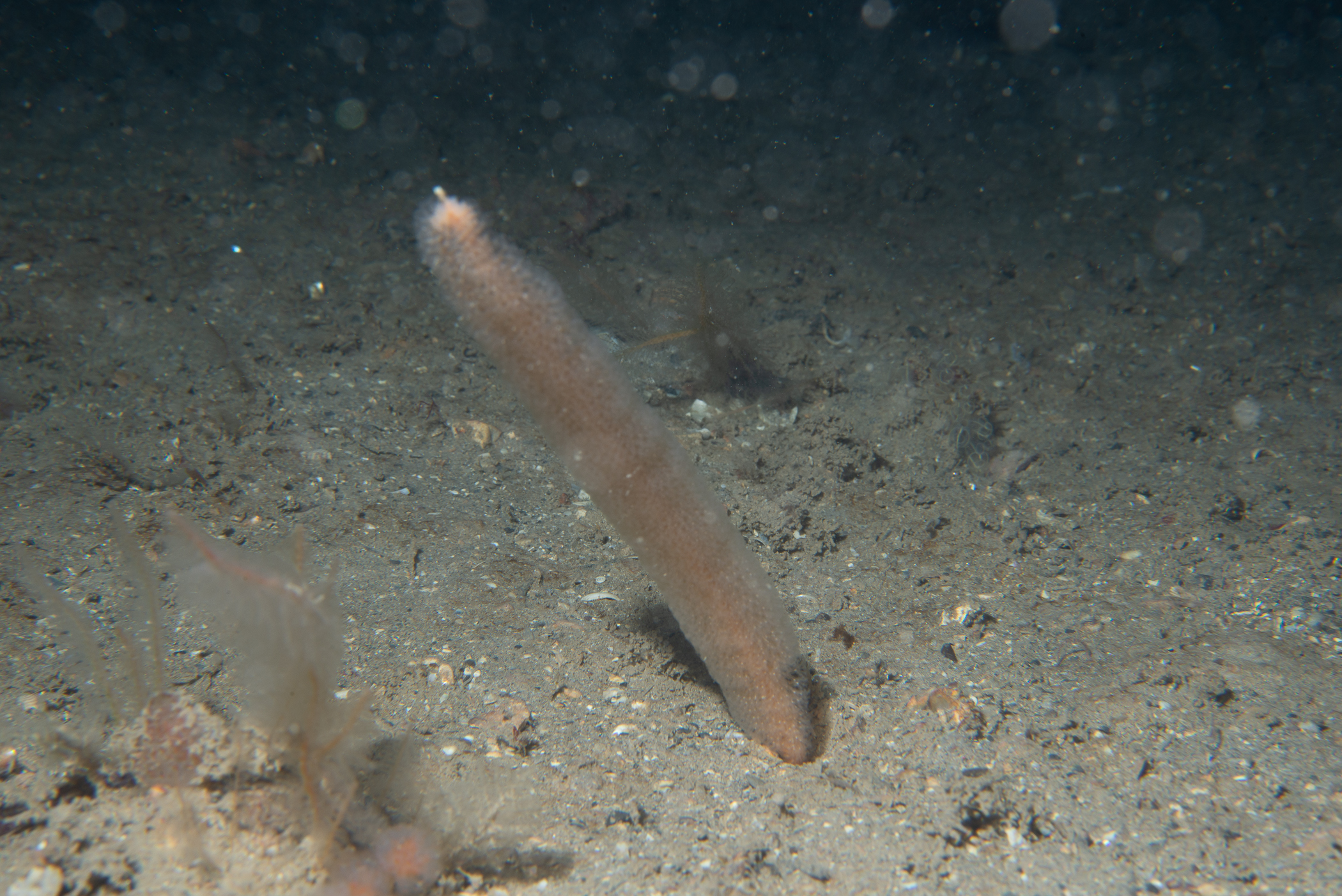 _b228190.jpg