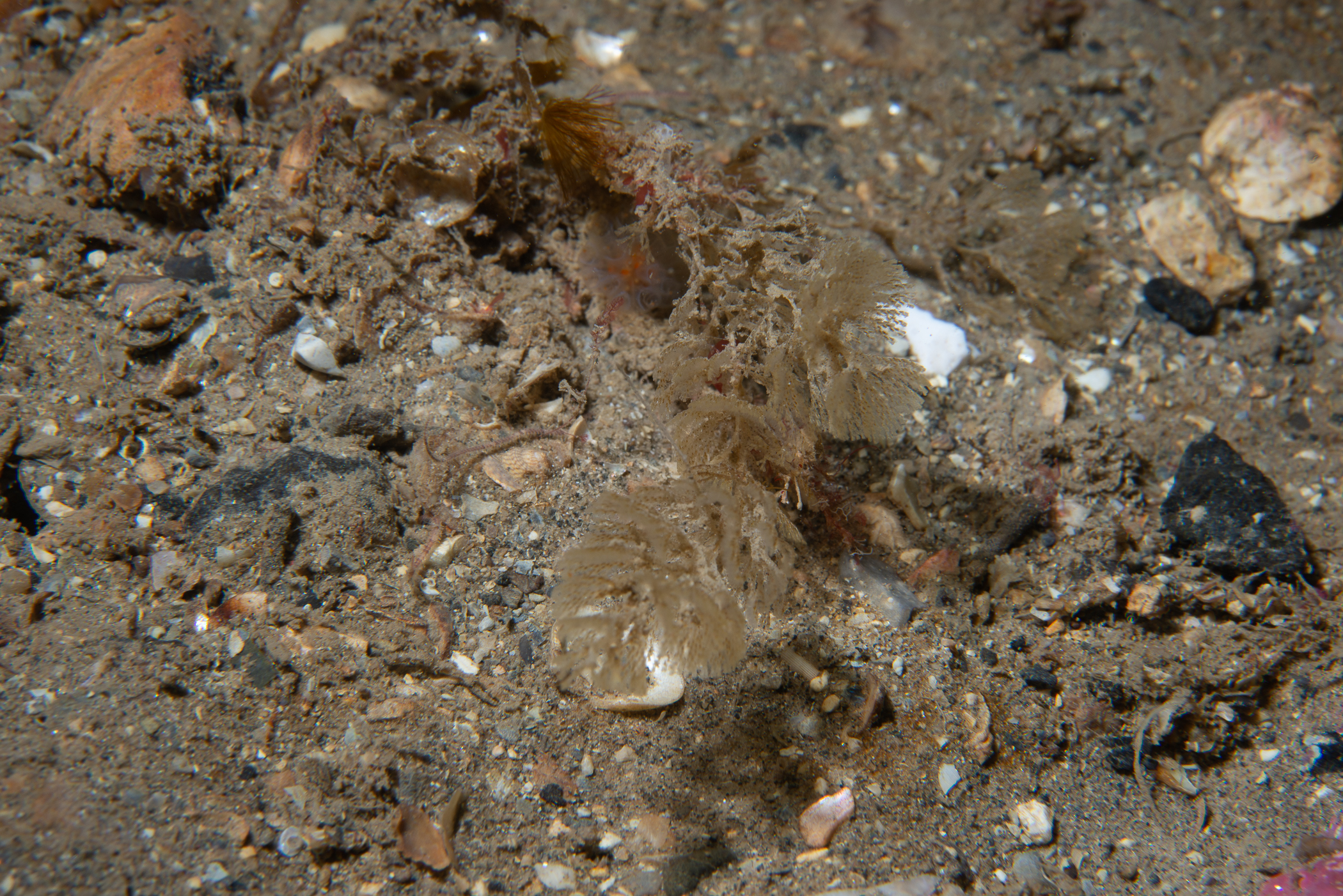 _b228192.jpg