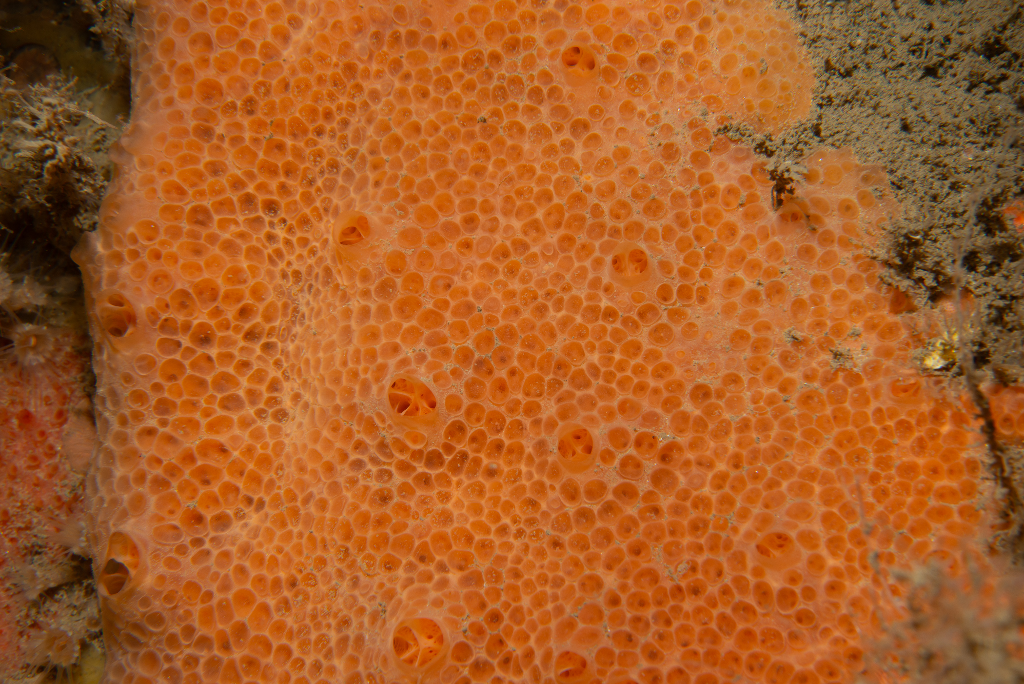 _b229042.jpg