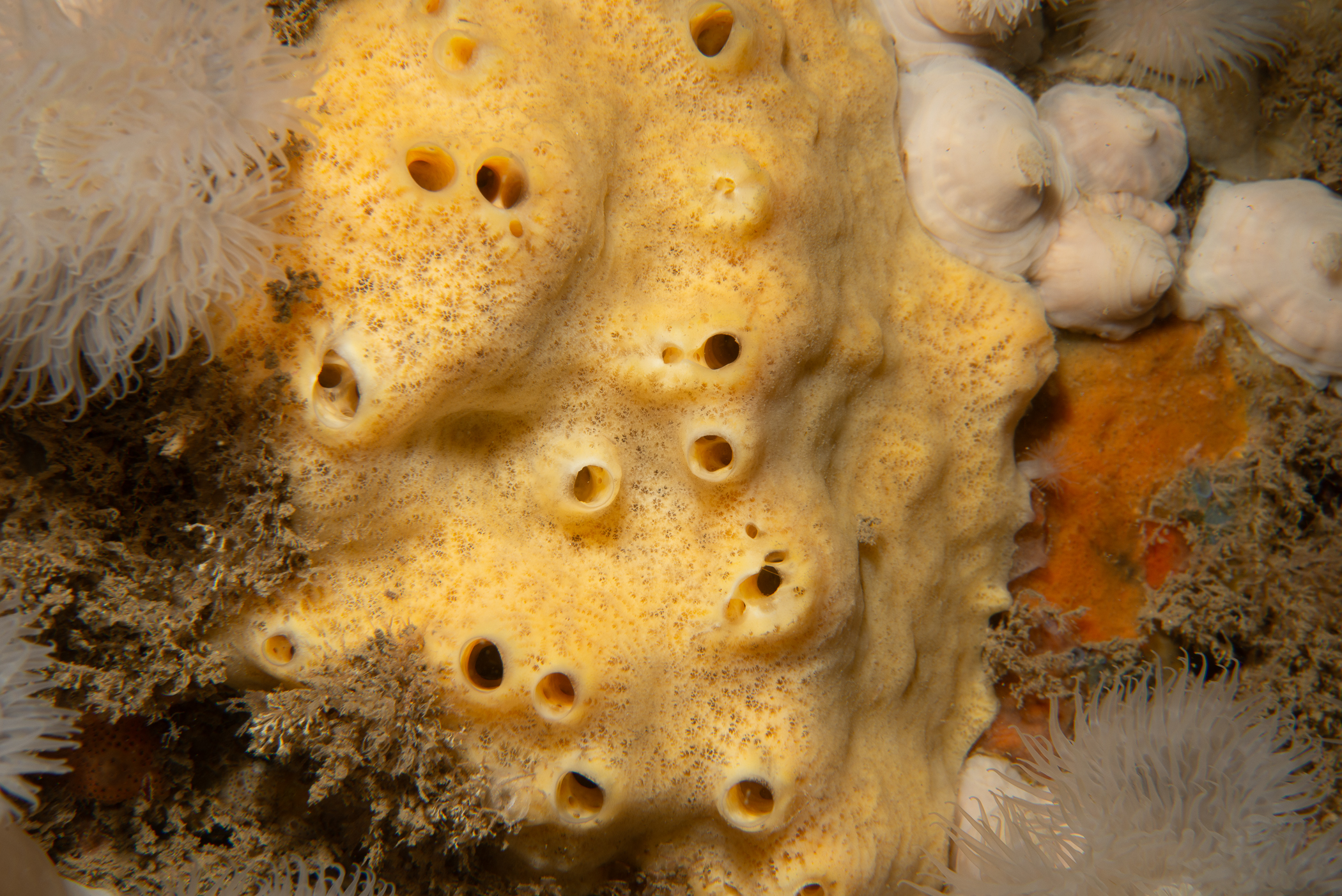 _b229056.jpg