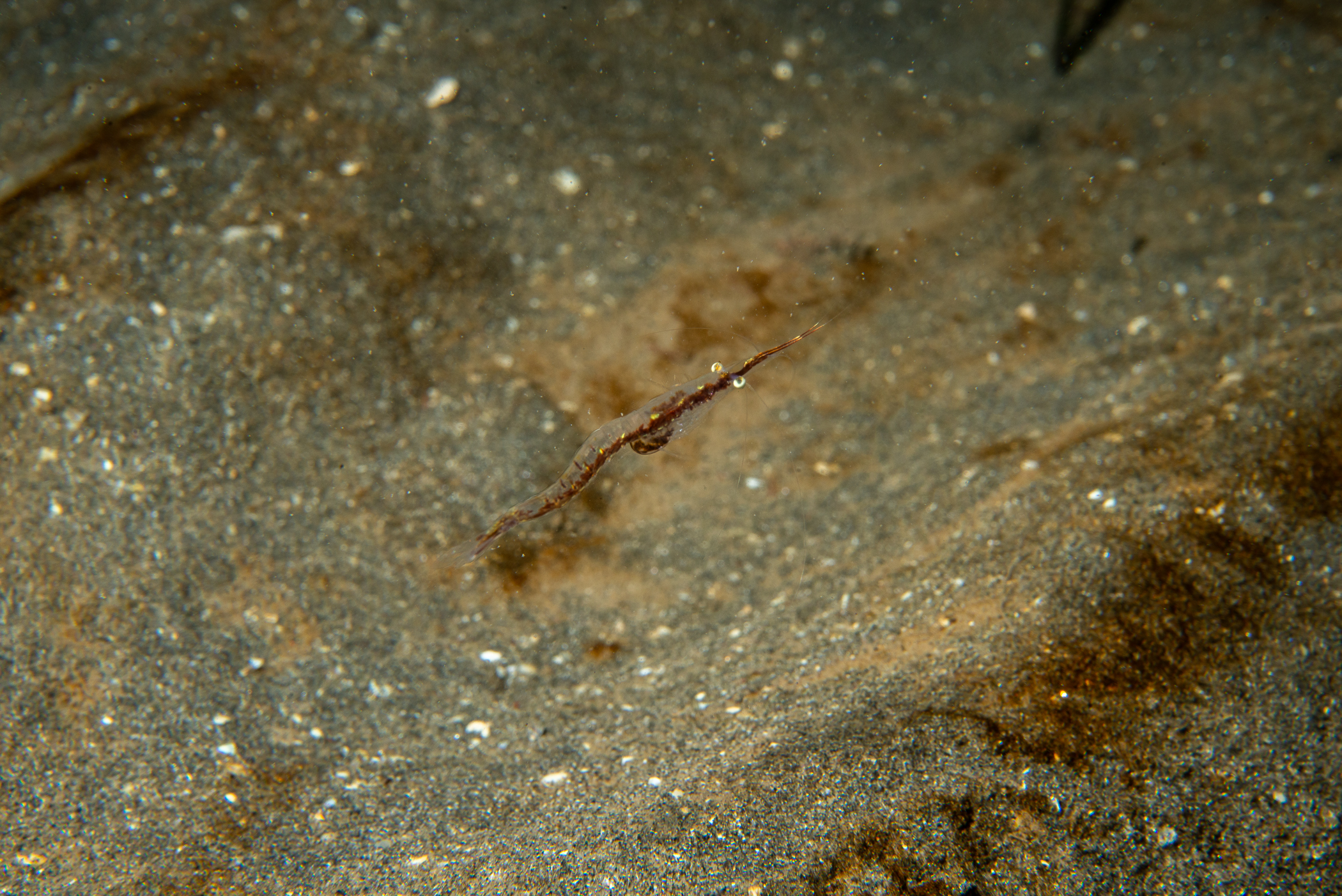 _b229467.jpg