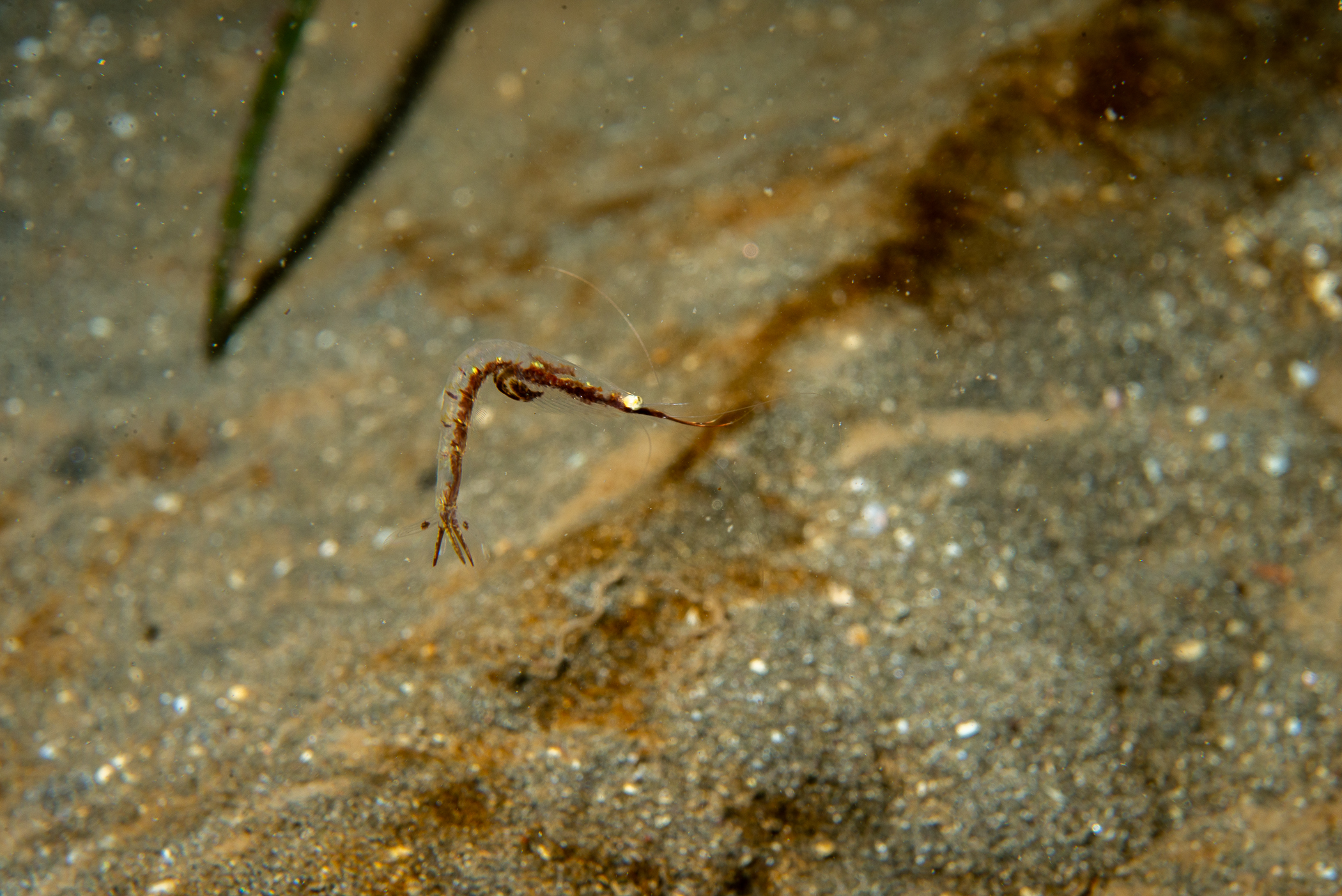 _b229468.jpg