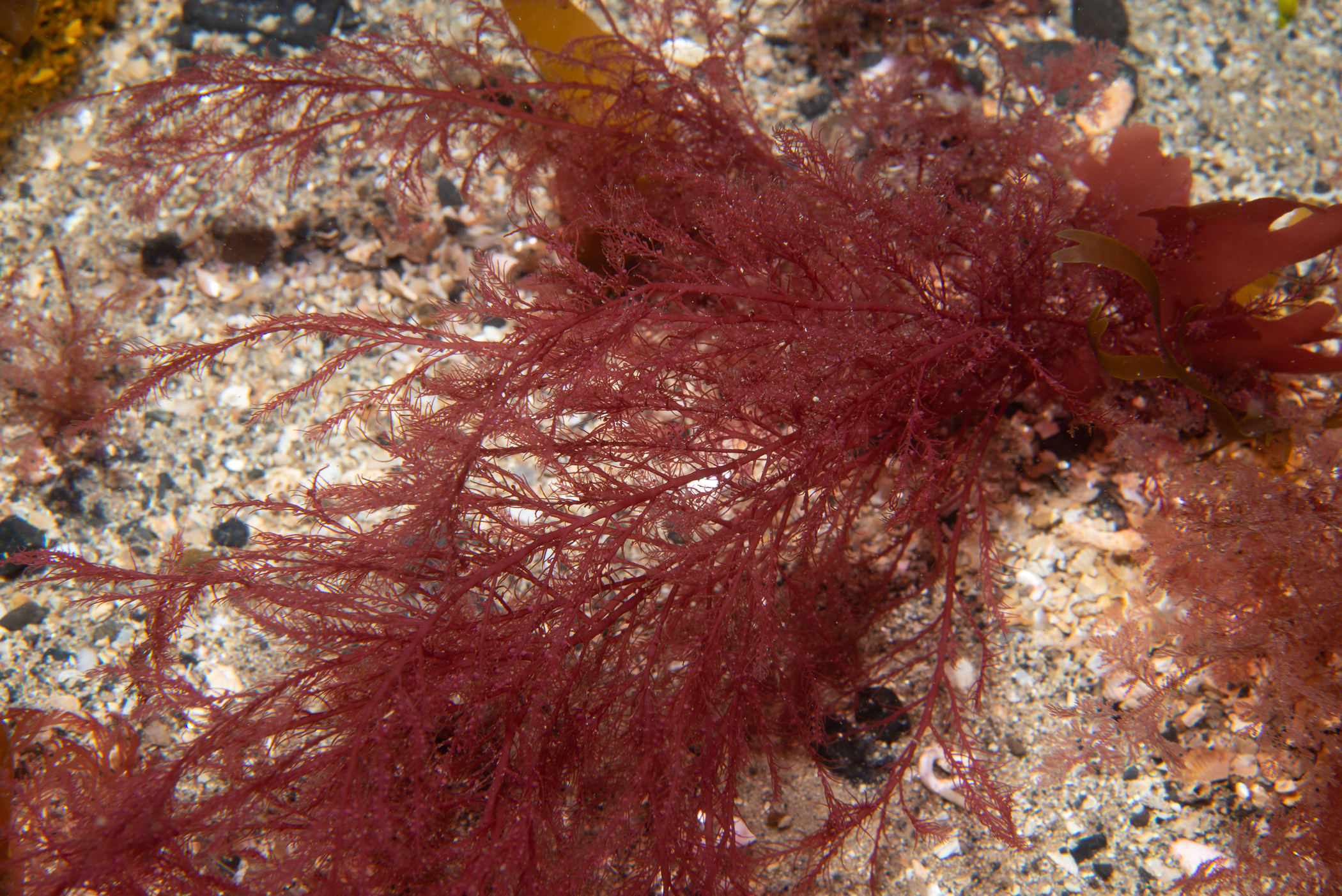 _b232590.jpg