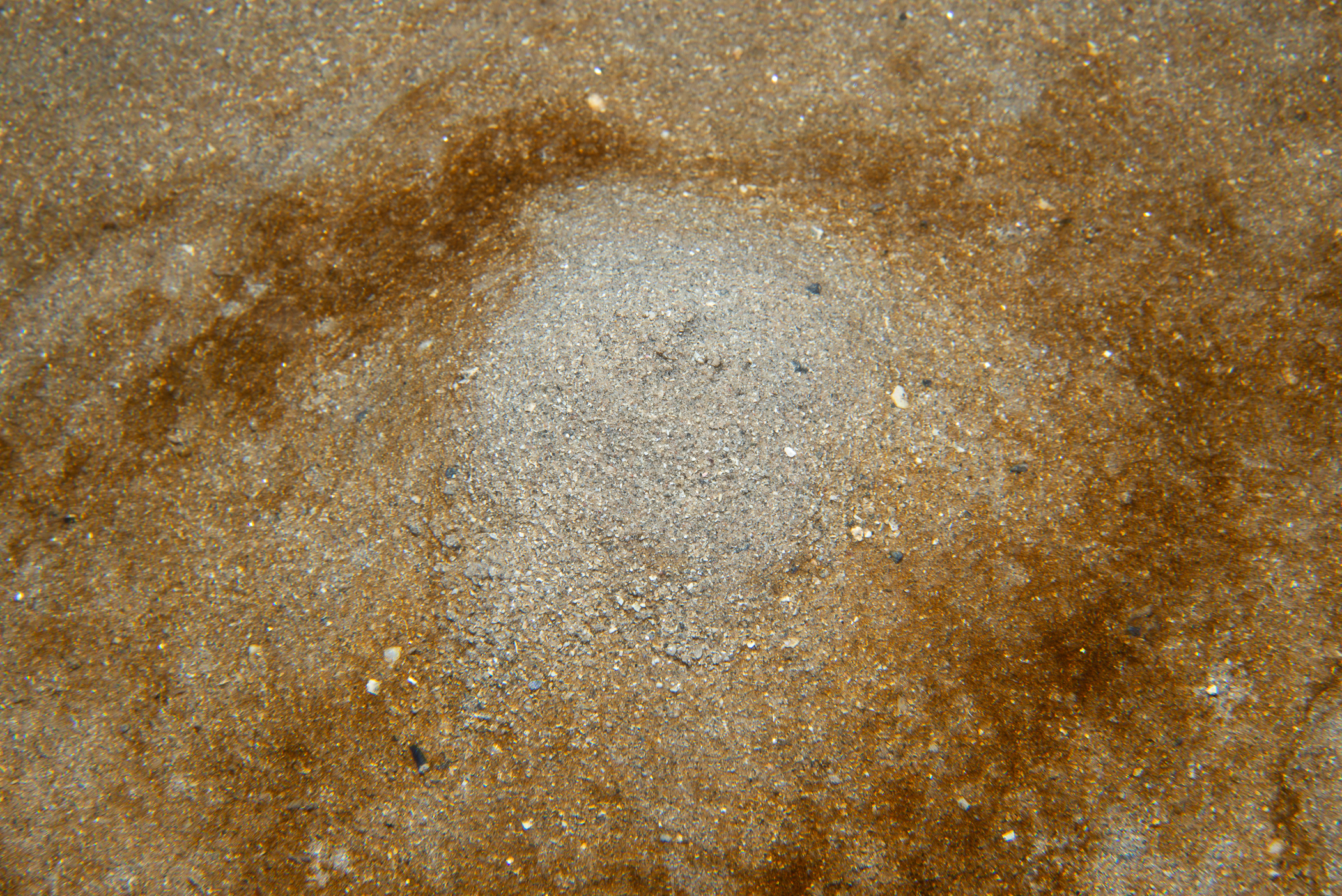 _b232622.jpg