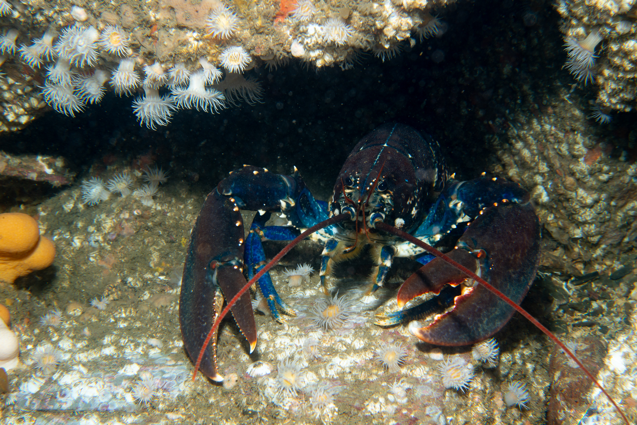 _b232806.jpg