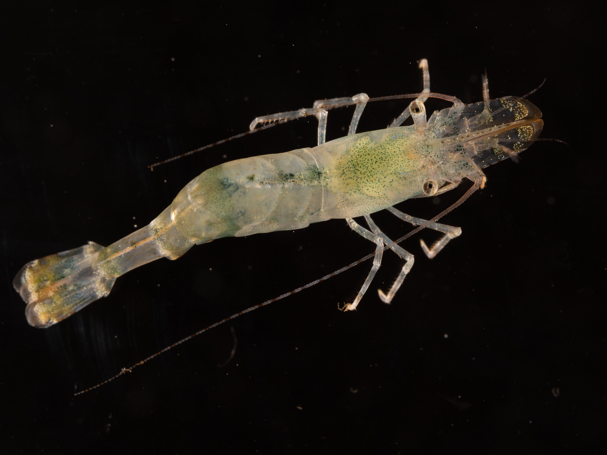 _z213927.jpg
