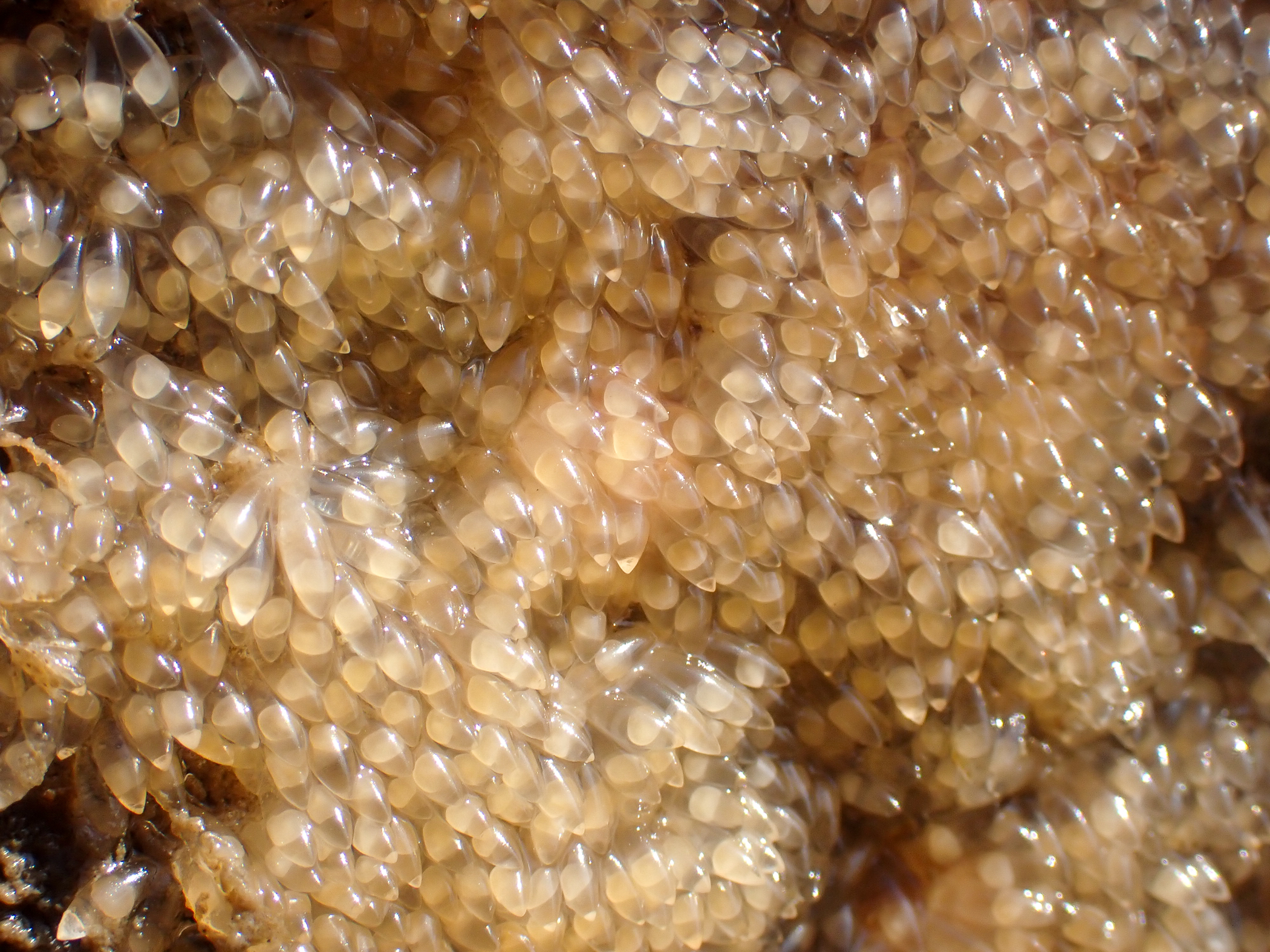 c4280096.jpg