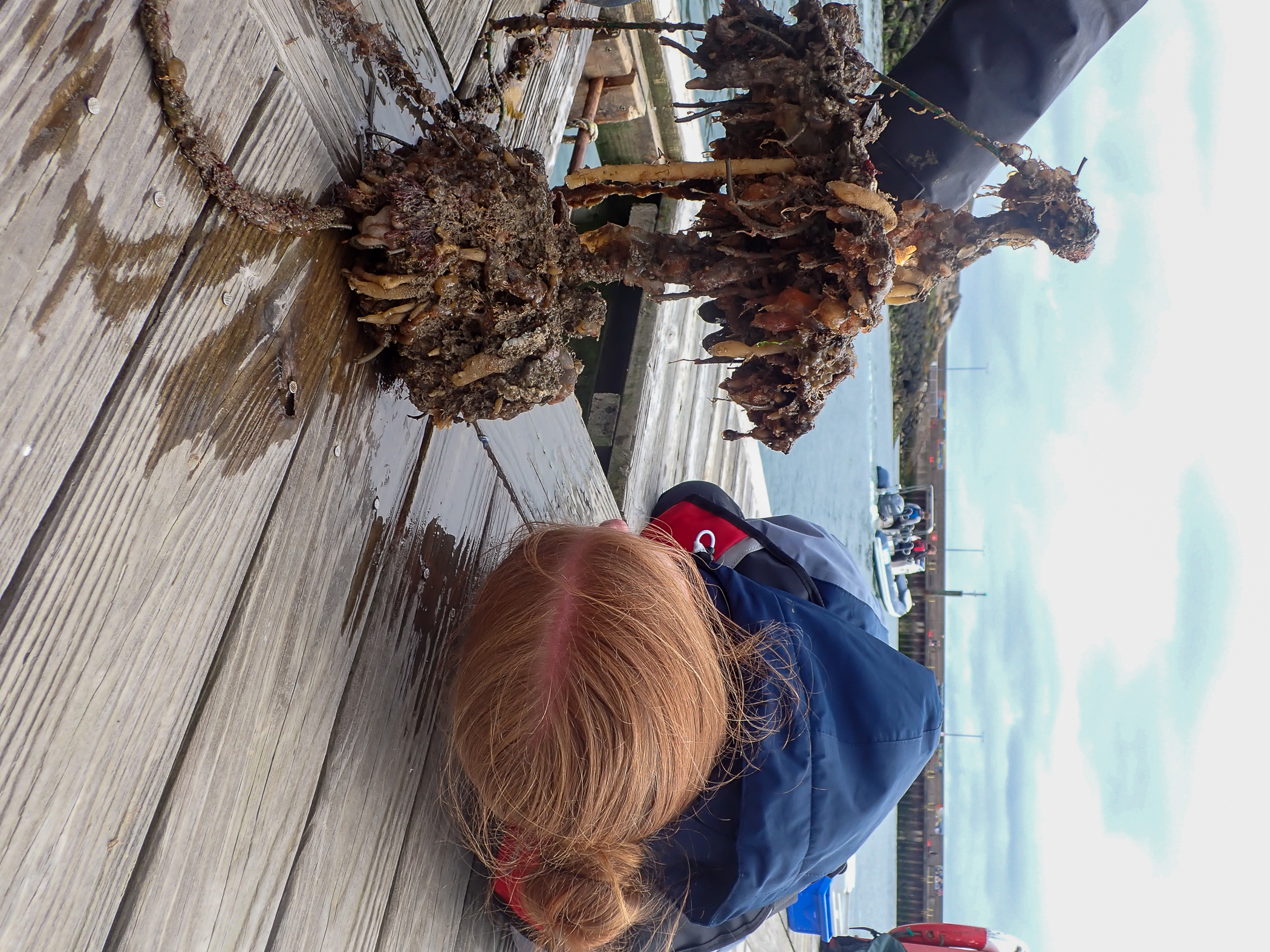 . Site: Bangor Marina. 