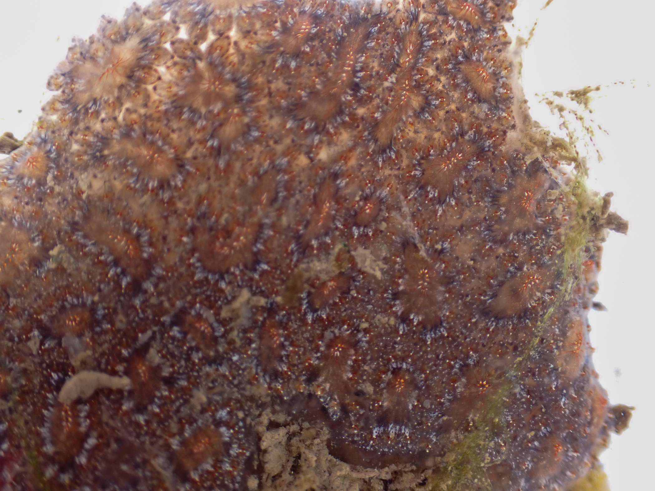 c6292903.jpg