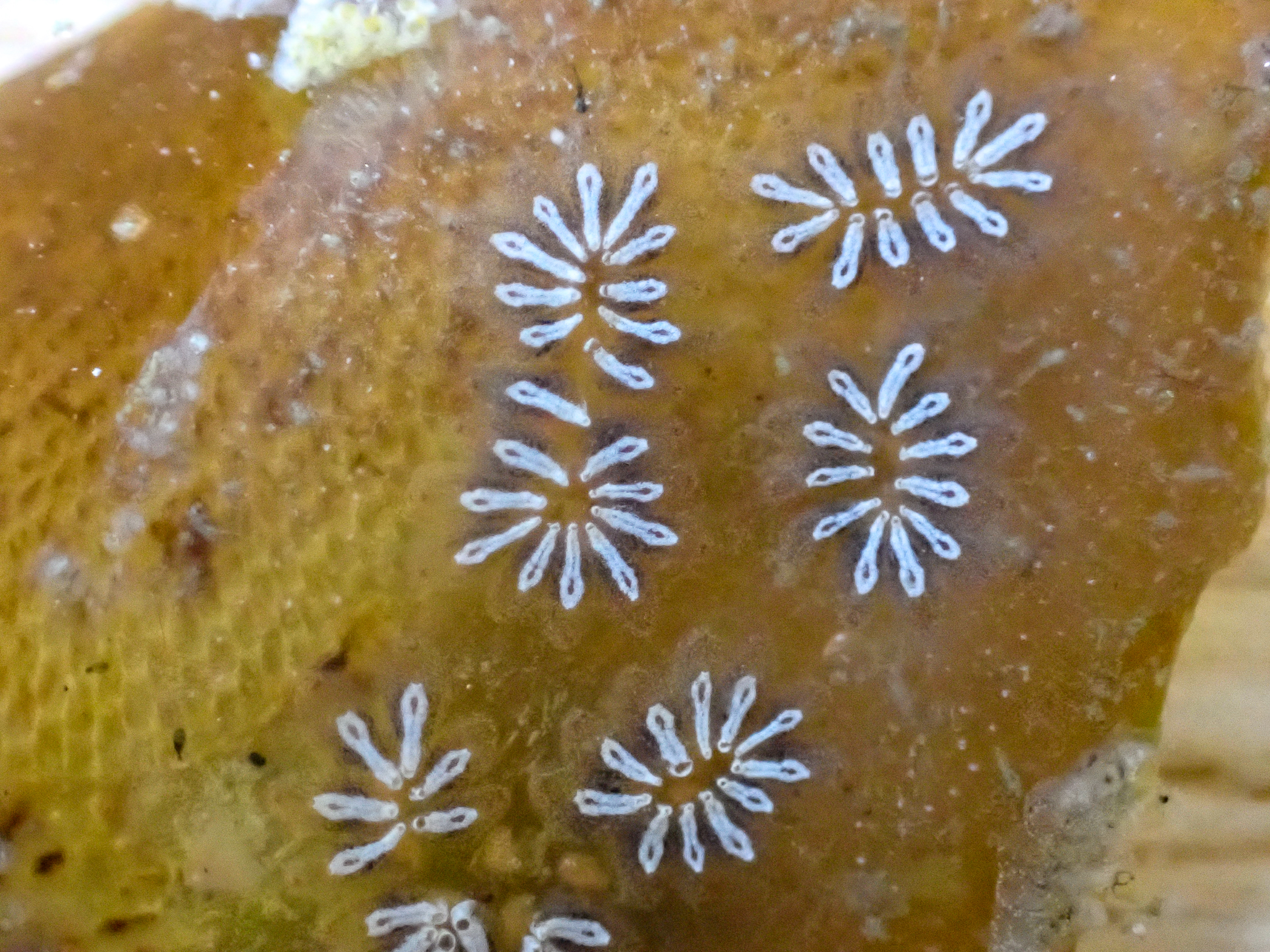 c7193147.jpg