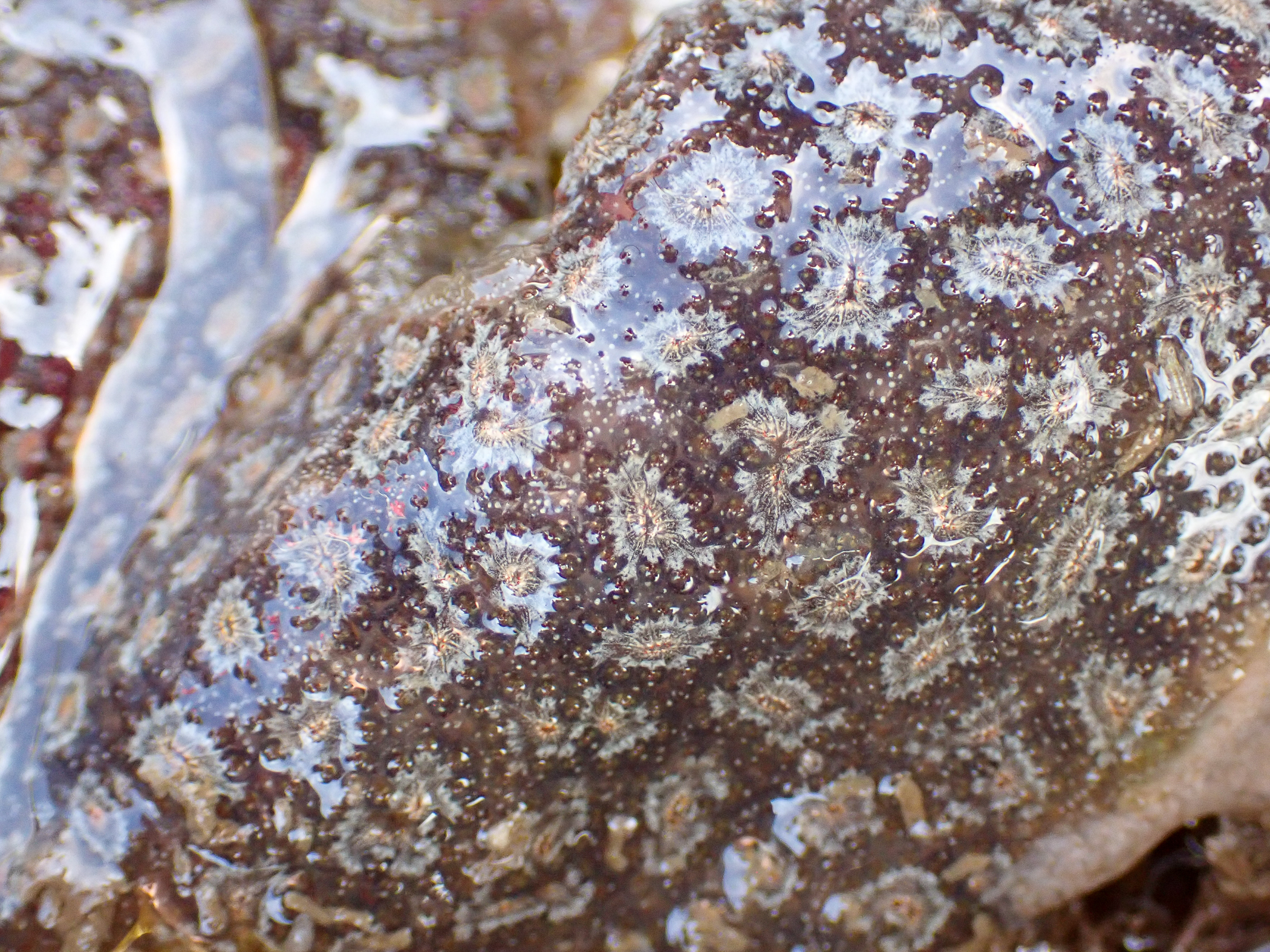 c9063470.jpg