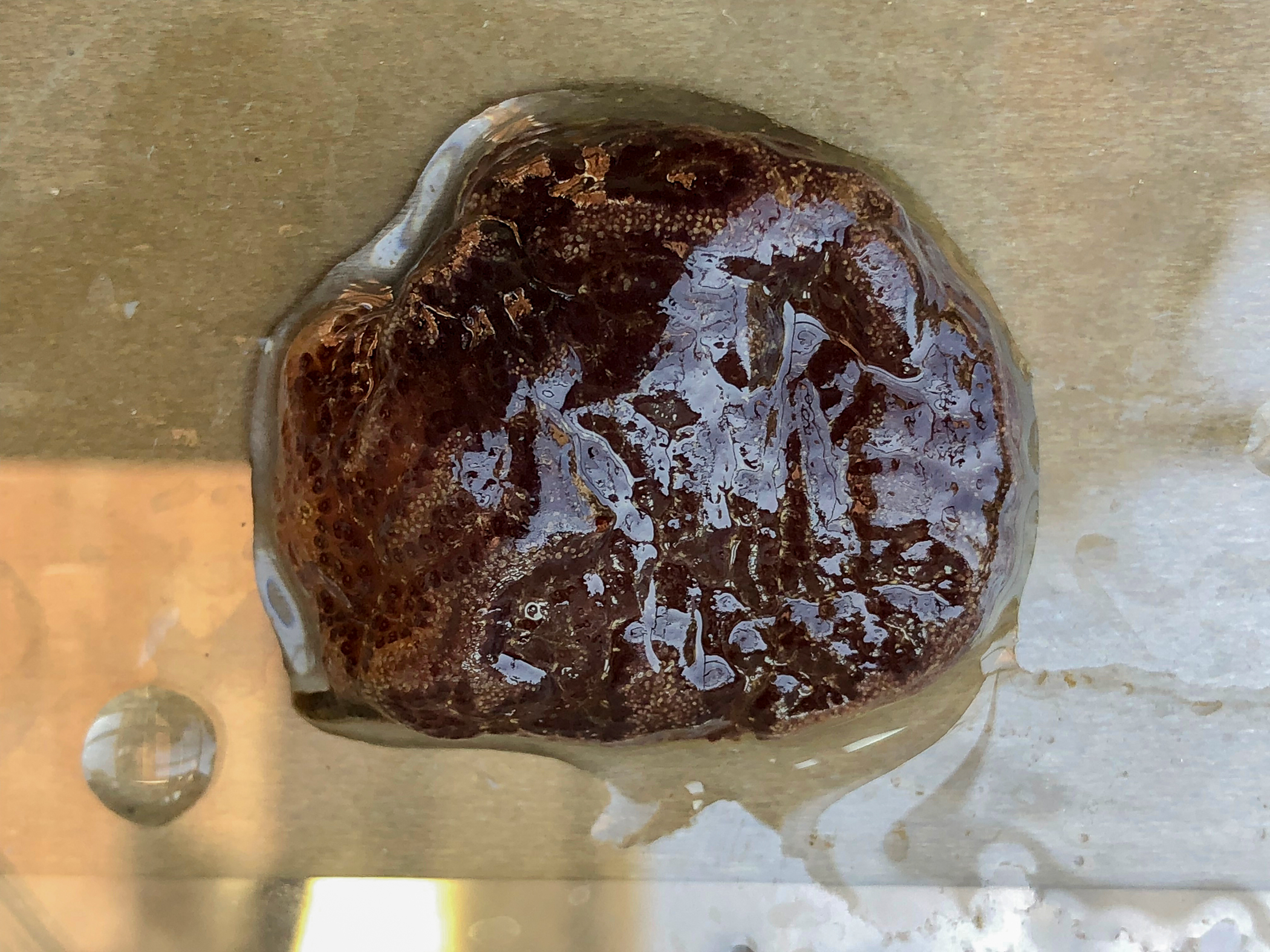 img_5709.jpg