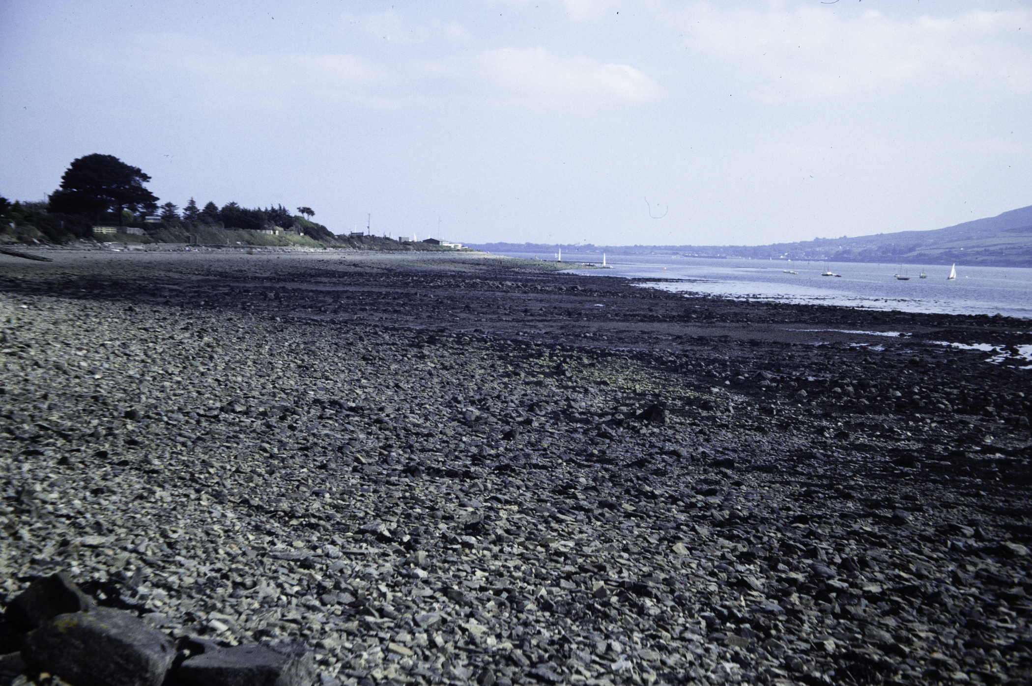 . Site: North of Killowen, Carlingford Lough. 