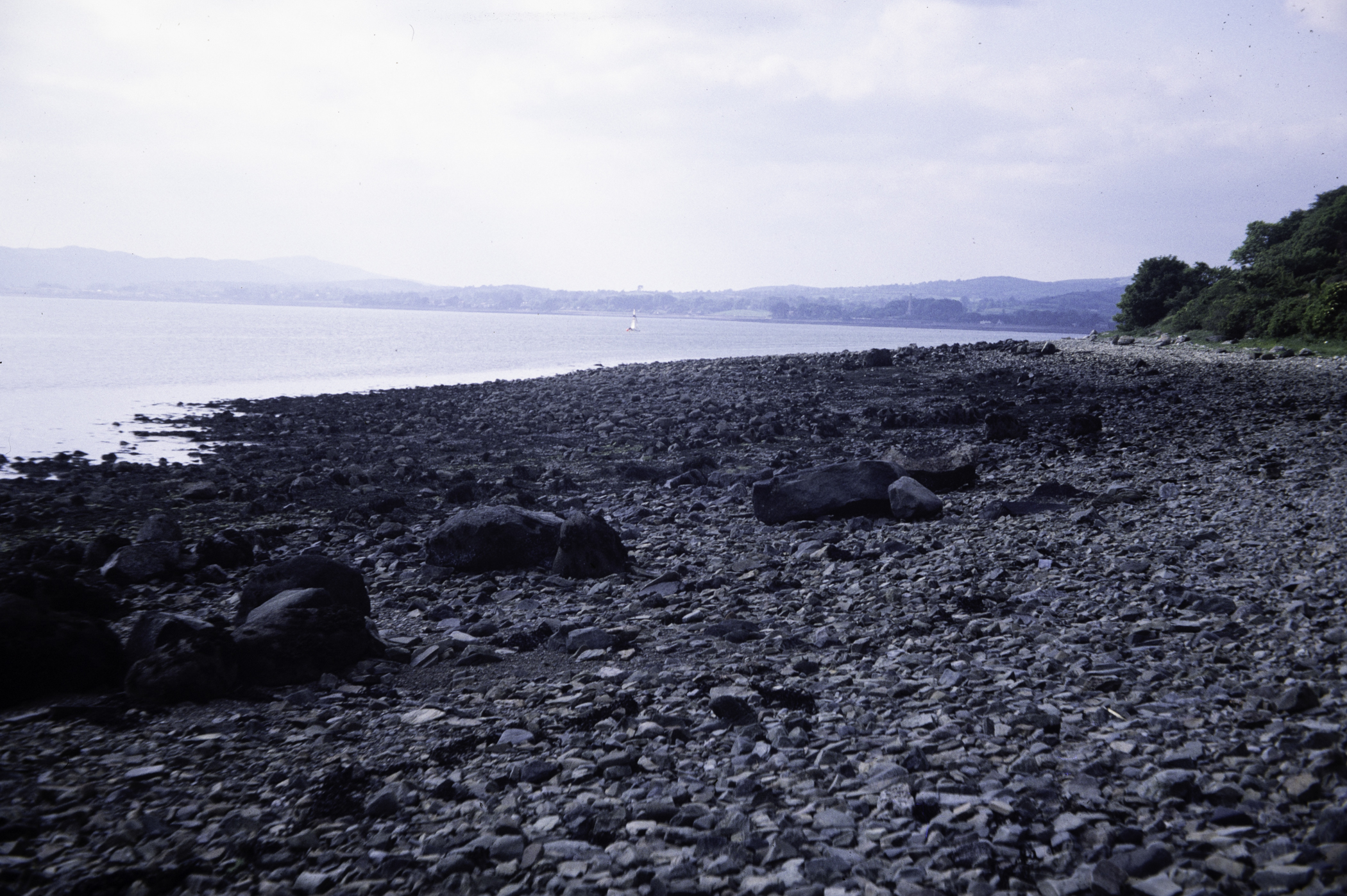 . Site: North of Killowen, Carlingford Lough. 