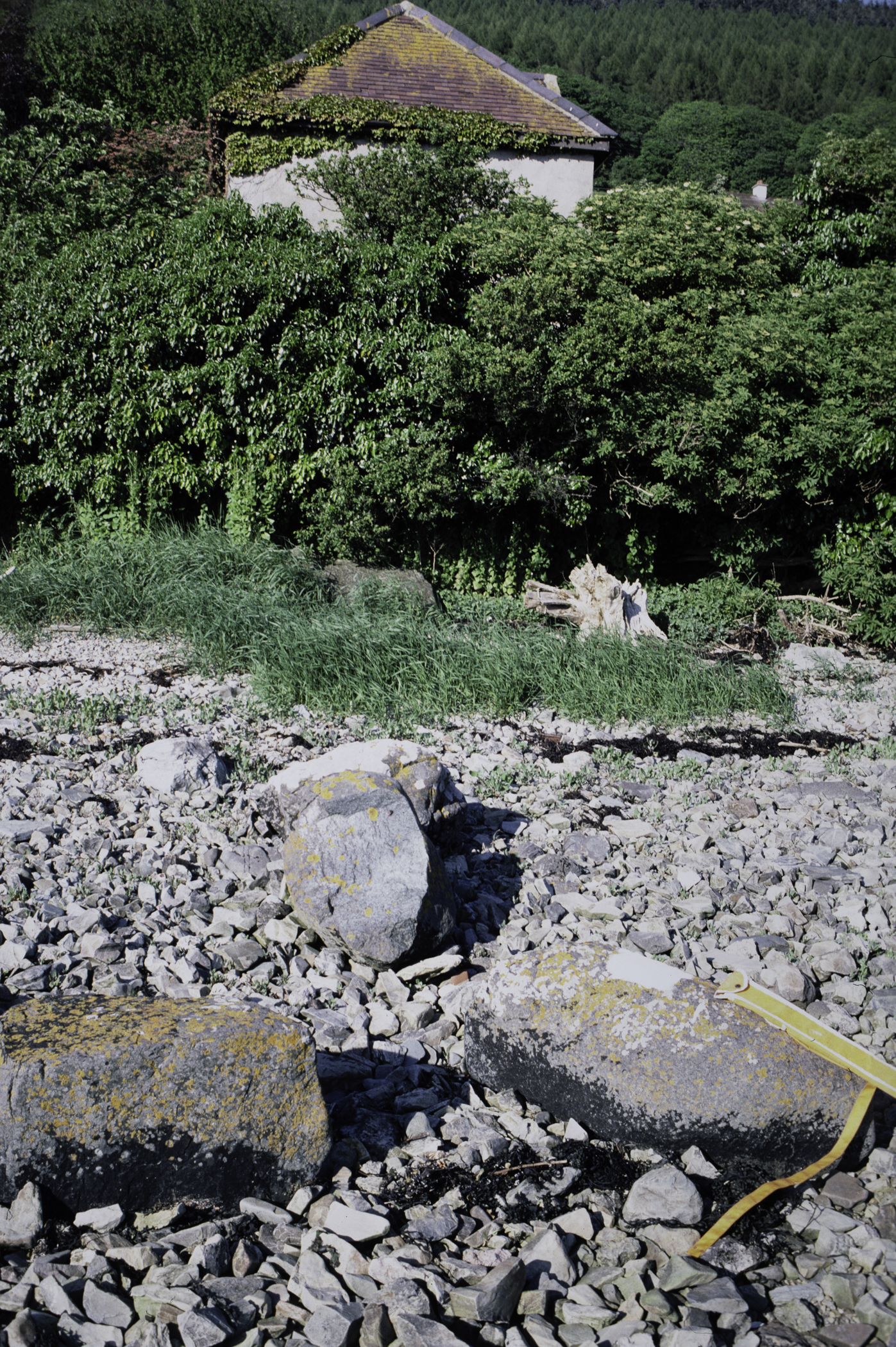 . Site: North of Killowen, Carlingford Lough. 