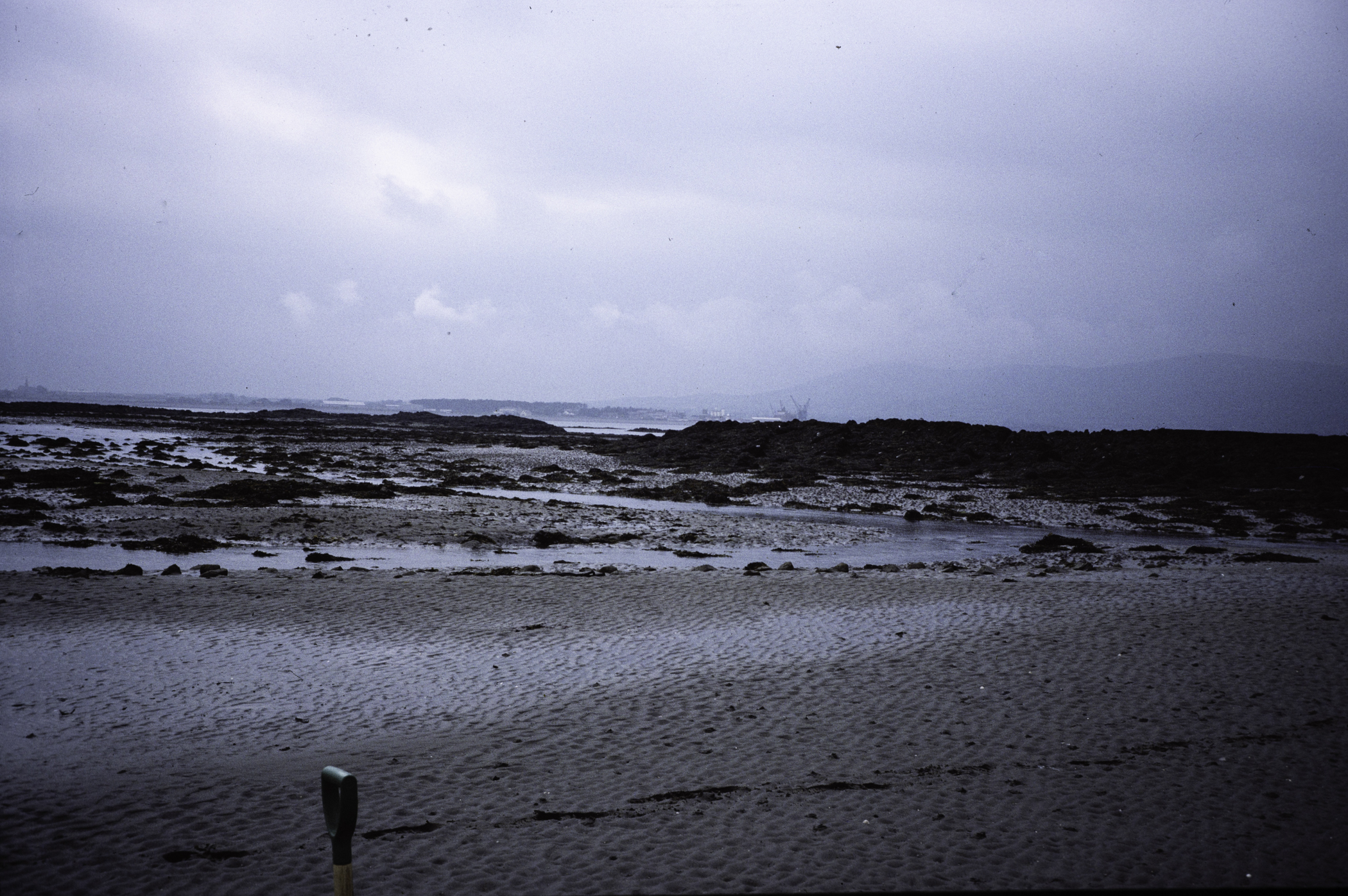 . Site: Greencastle Rocks, Carlingford Lough. 