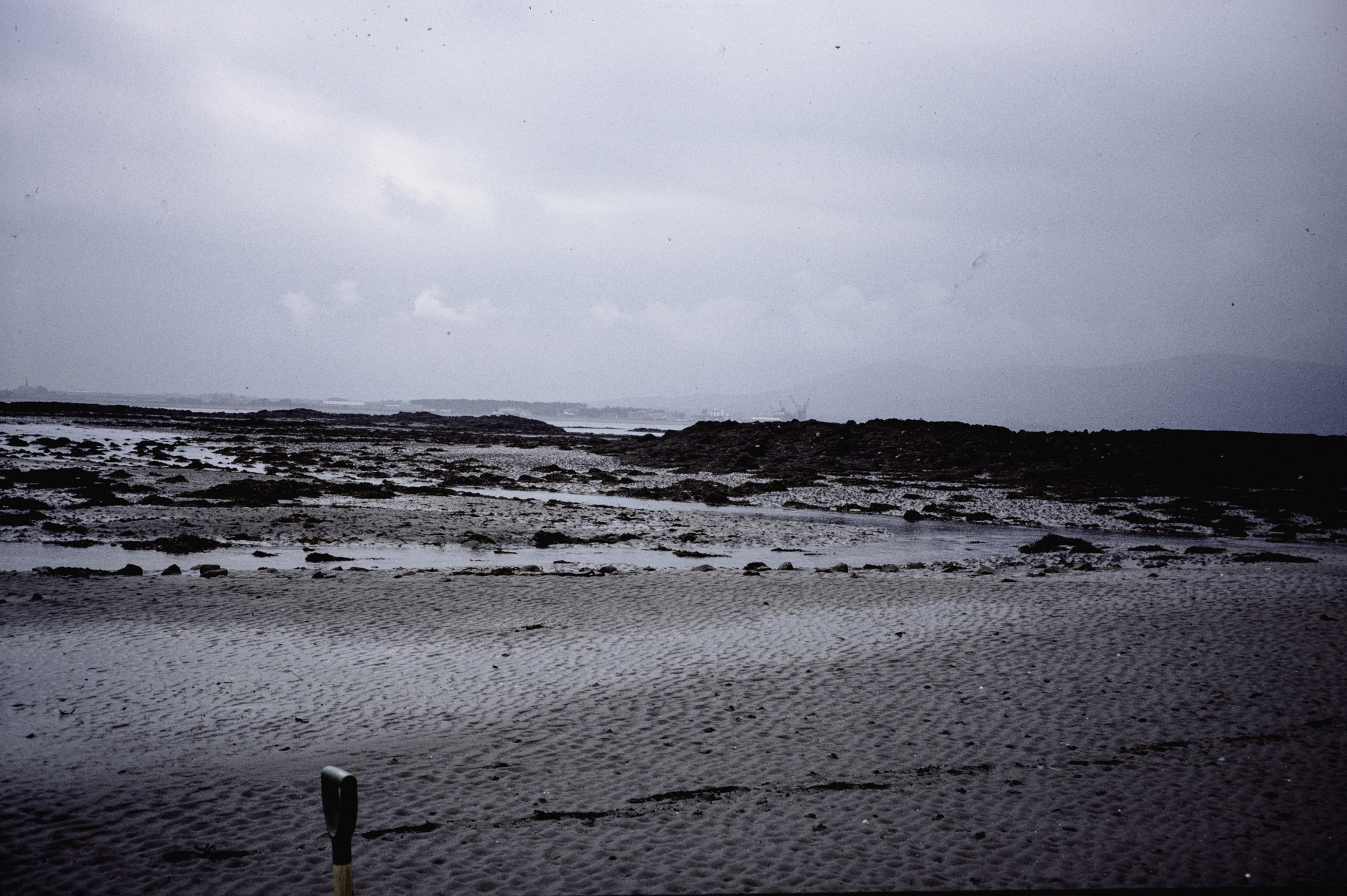 . Site: Greencastle Rocks, Carlingford Lough. 