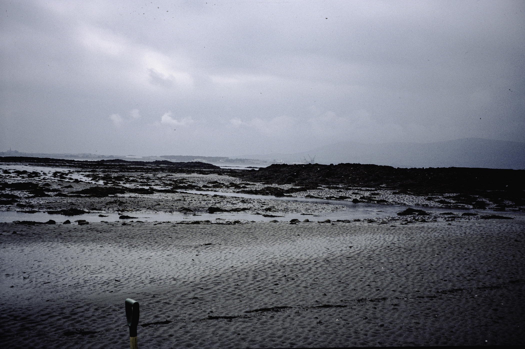 . Site: Greencastle Rocks, Carlingford Lough. 