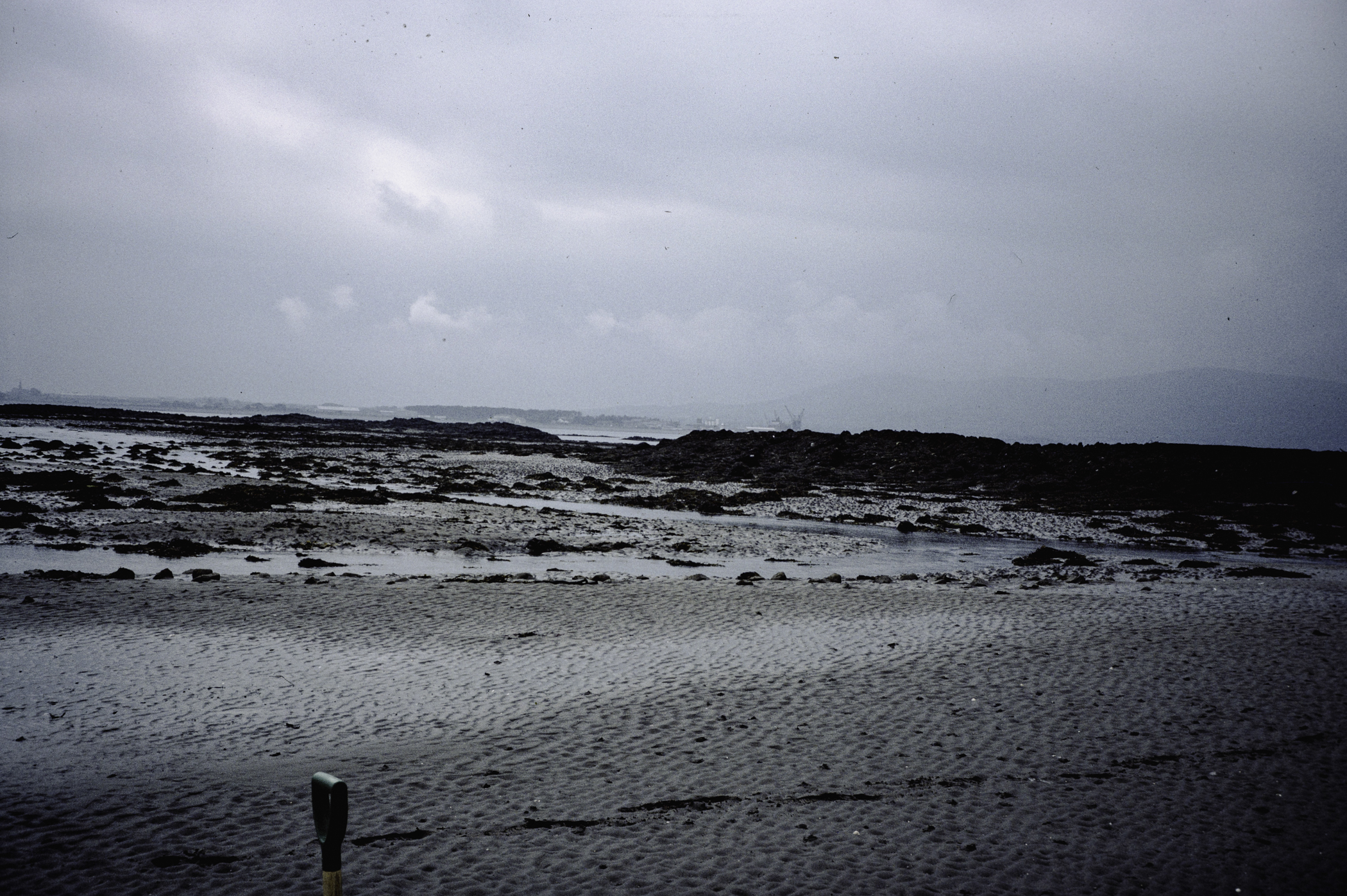 . Site: Greencastle Rocks, Carlingford Lough. 