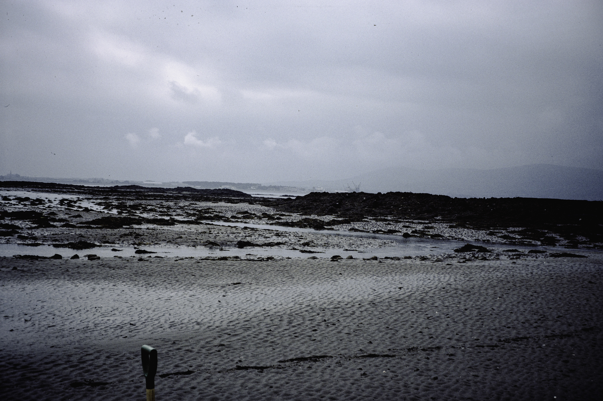 . Site: Greencastle Rocks, Carlingford Lough. 